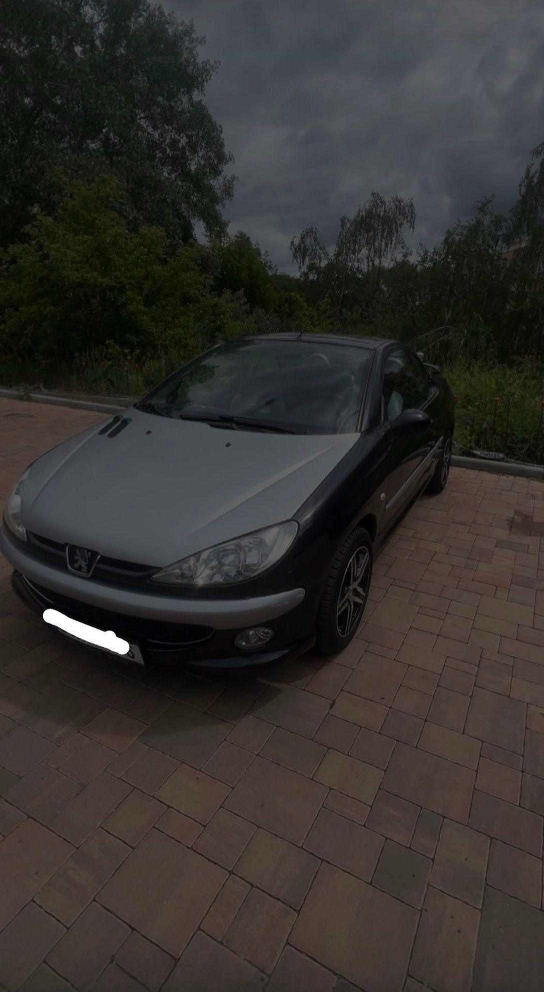 Peugeot 206, 1.6 Benzín - fotka 2