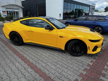 Mustang GT Nite Pony 5.0 PPF
