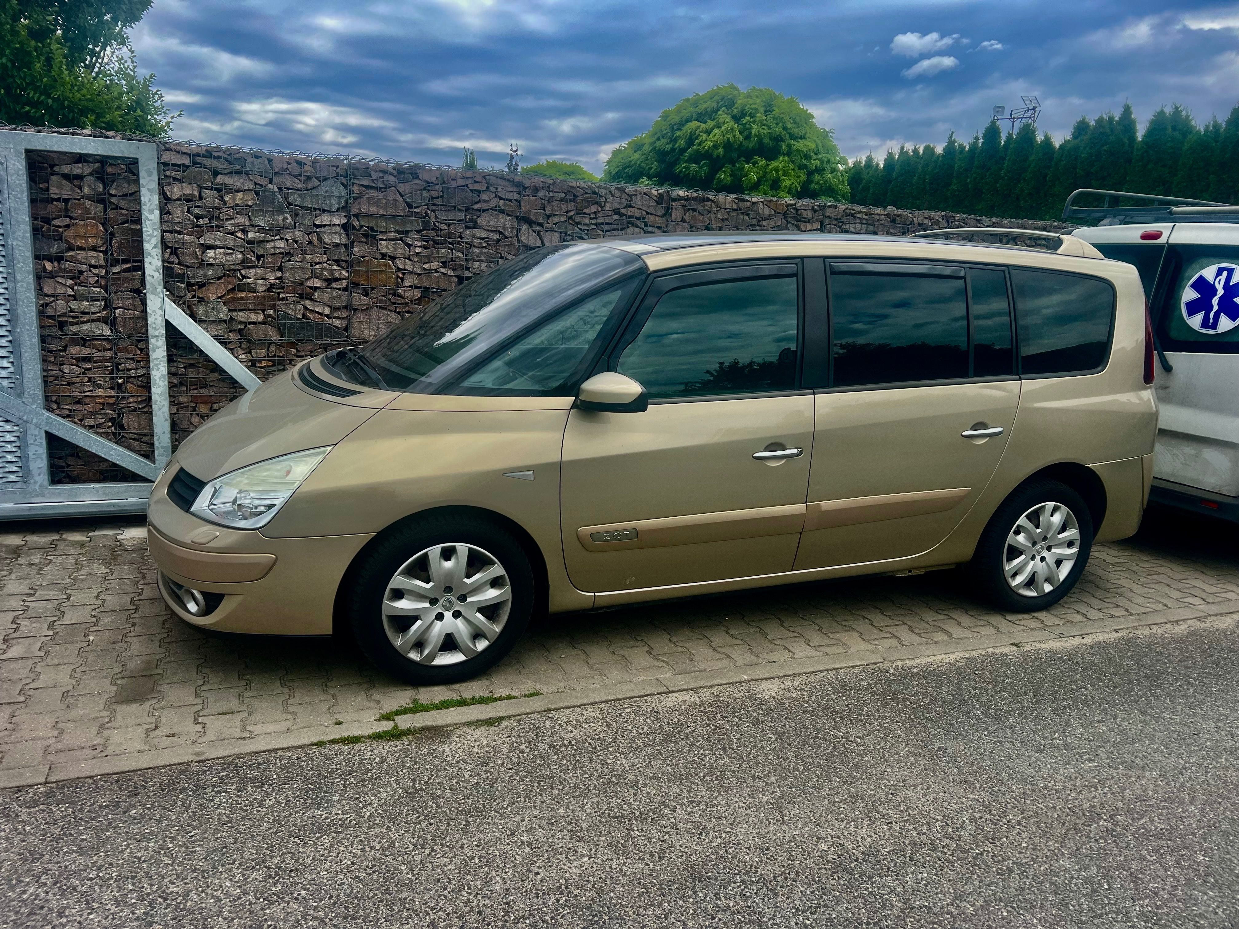 Renault Grand Espace, Vin mailem cebia - fotka 2