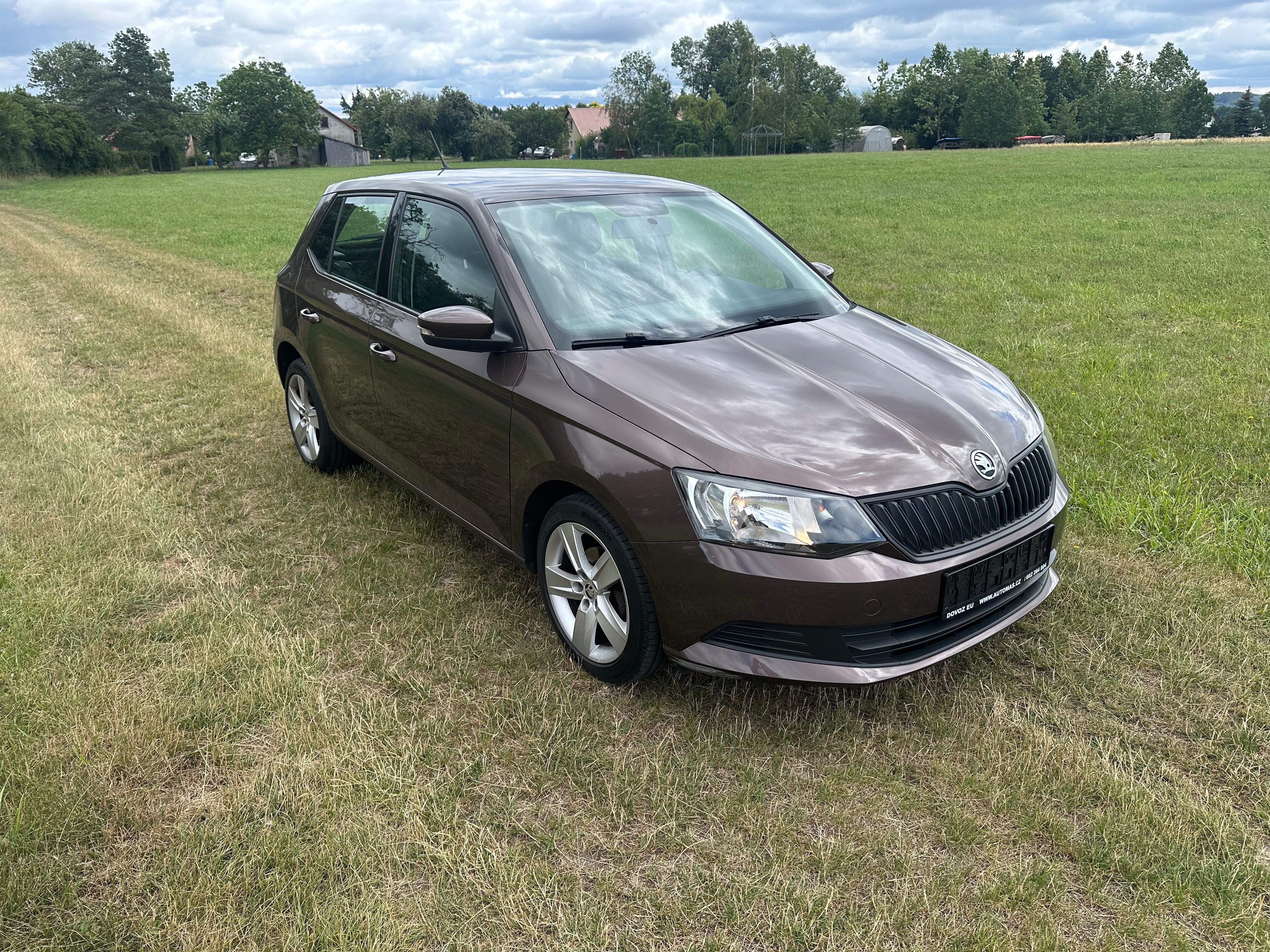 Škoda Fabia, 1.0 MPI-44KW-SERVISNI HISTORIE