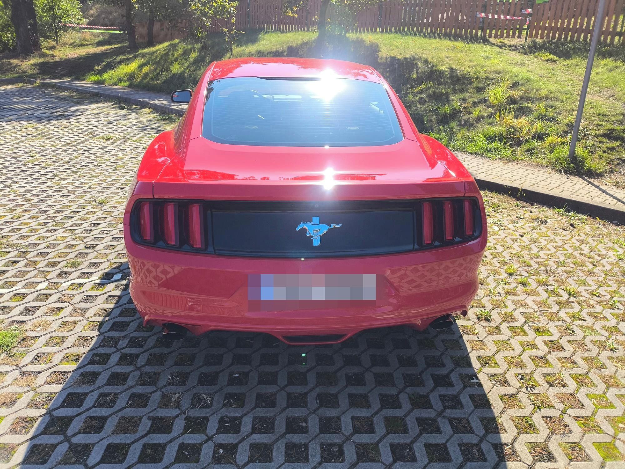 Ford Mustang, Ford Mustang V6 3,7 - fotka 5