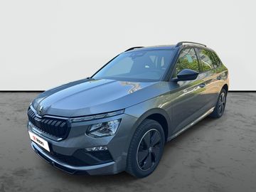 Monte Carlo 1.0 DSG PAN DPH ČR