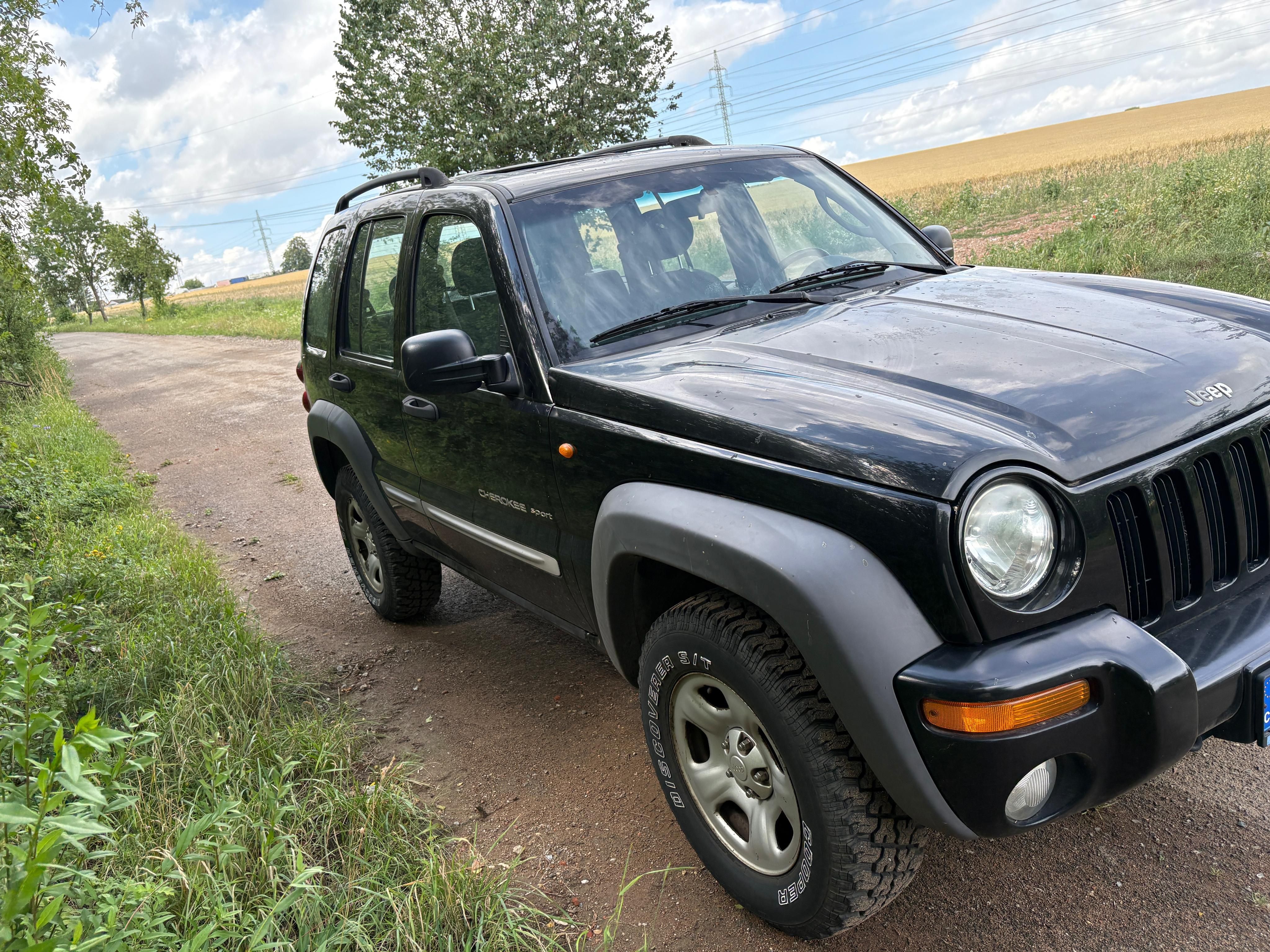 Jeep Cherokee, KJ (Liberty) 2.5 CRD 105 kW - fotka 3
