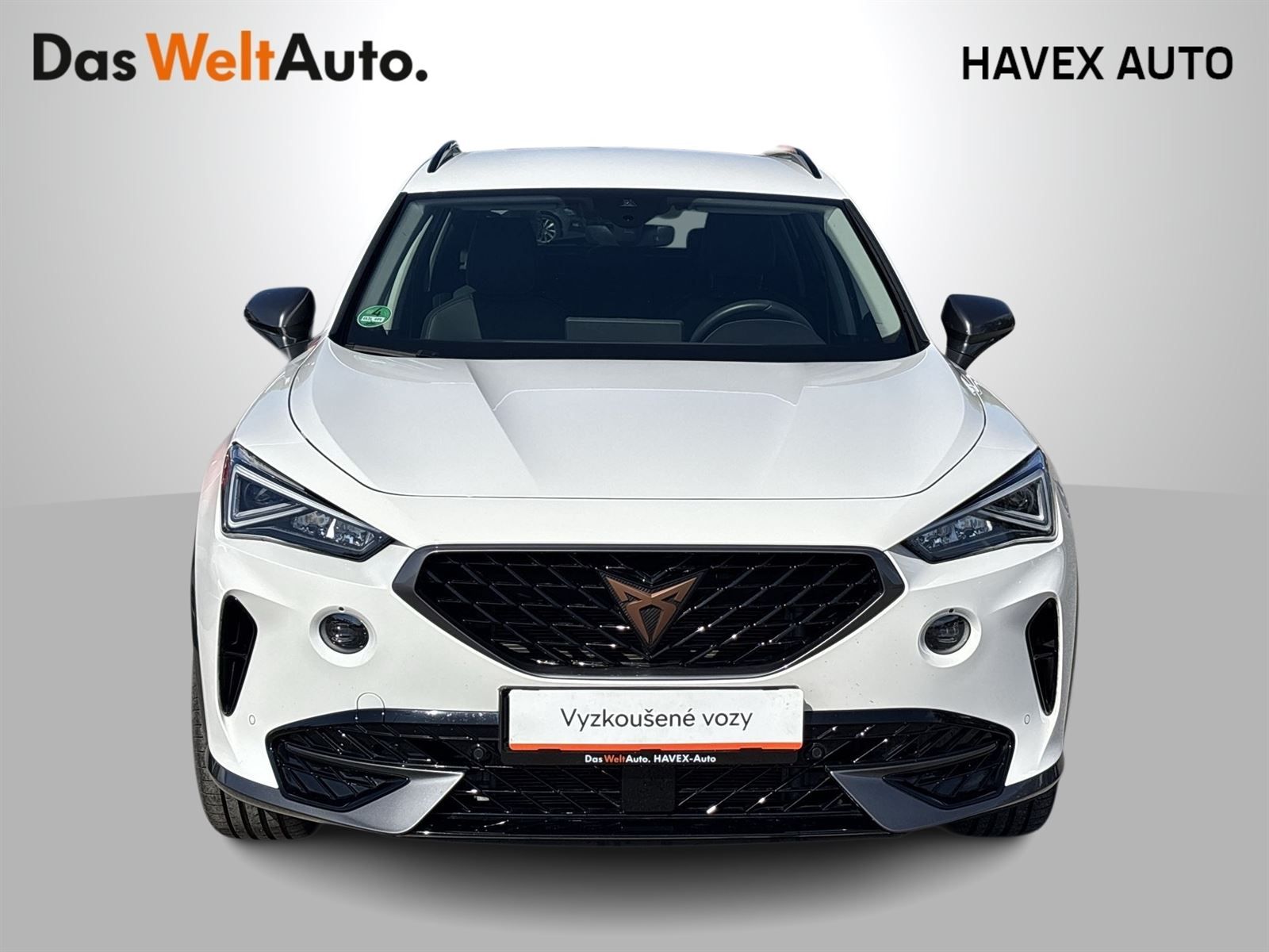 Cupra Formentor, 1.5 TSI DSG - fotka 4