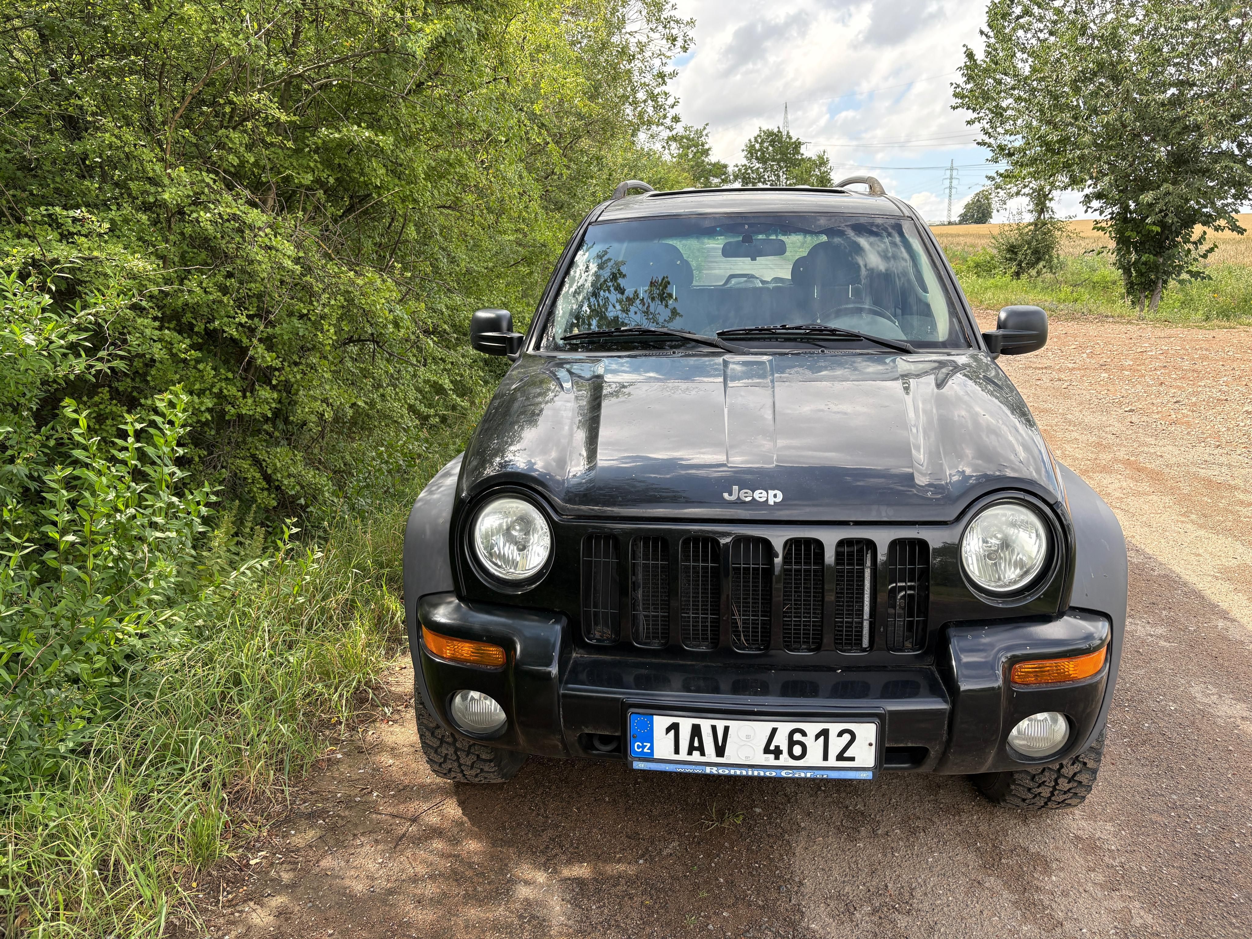 Jeep Cherokee, KJ (Liberty) 2.5 CRD 105 kW - fotka 2
