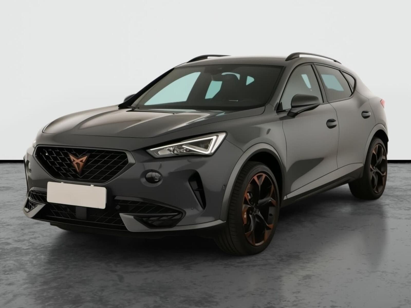 Cupra Formentor, 2.0 TSI VZ 4Drive, 4X4 - fotka 2