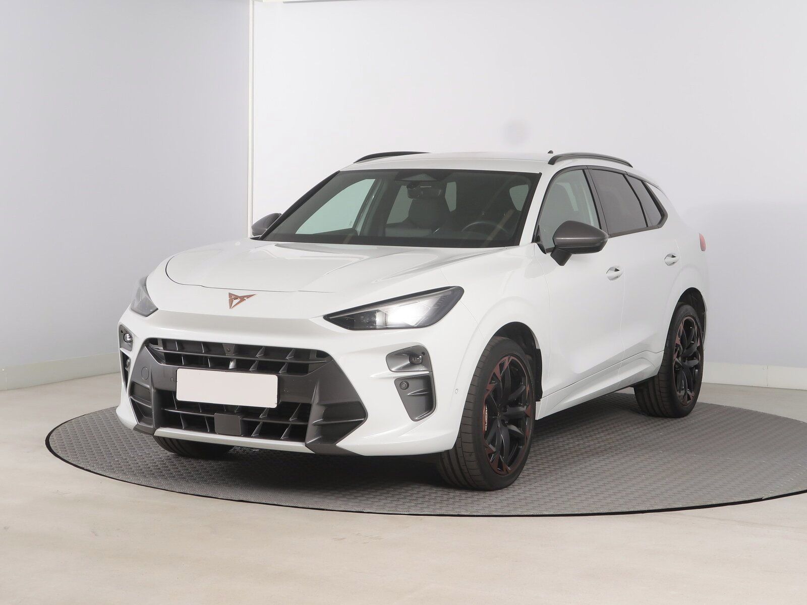 Cupra Terramar, 2.0 TSI 4Drive - fotka 2