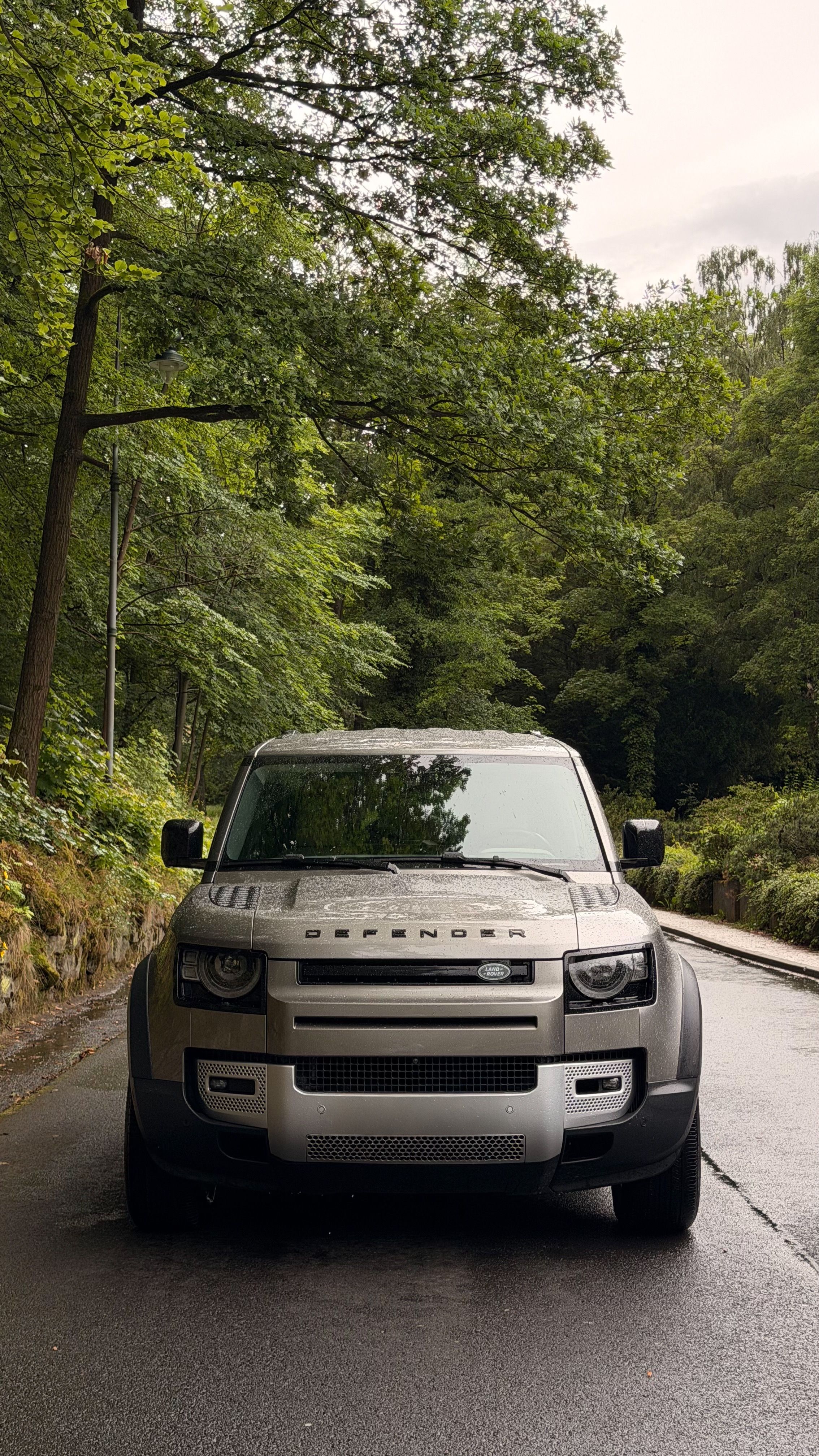 Land Rover Defender, 110 SE 3.0 D MHEV AWD