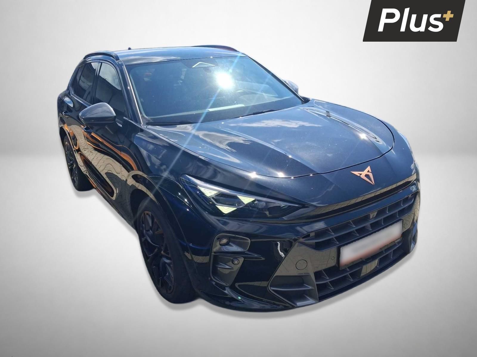 Cupra Terramar, 2.0 TSI 4Drive