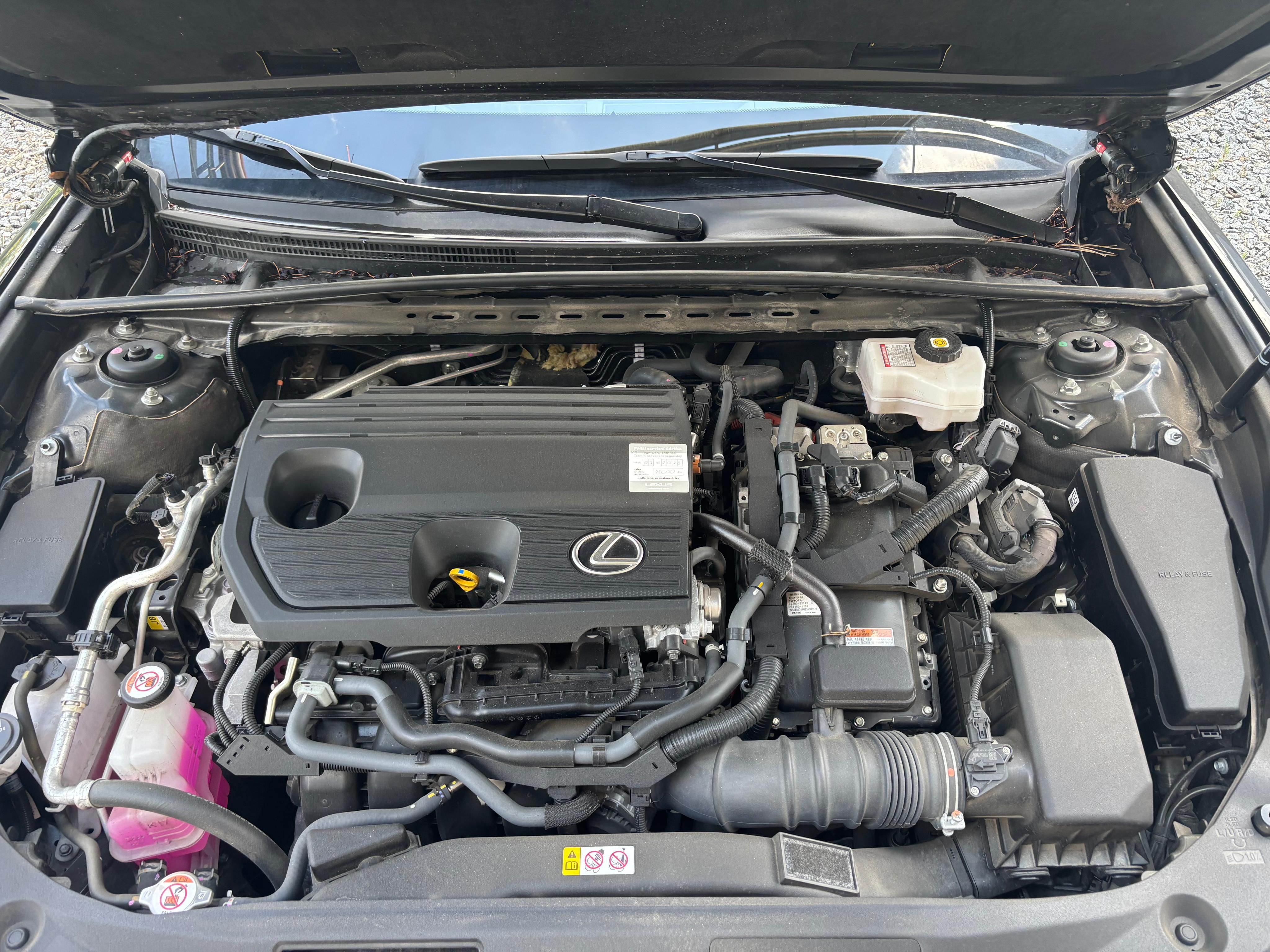 Lexus ES, 300h Business edition - fotka 6