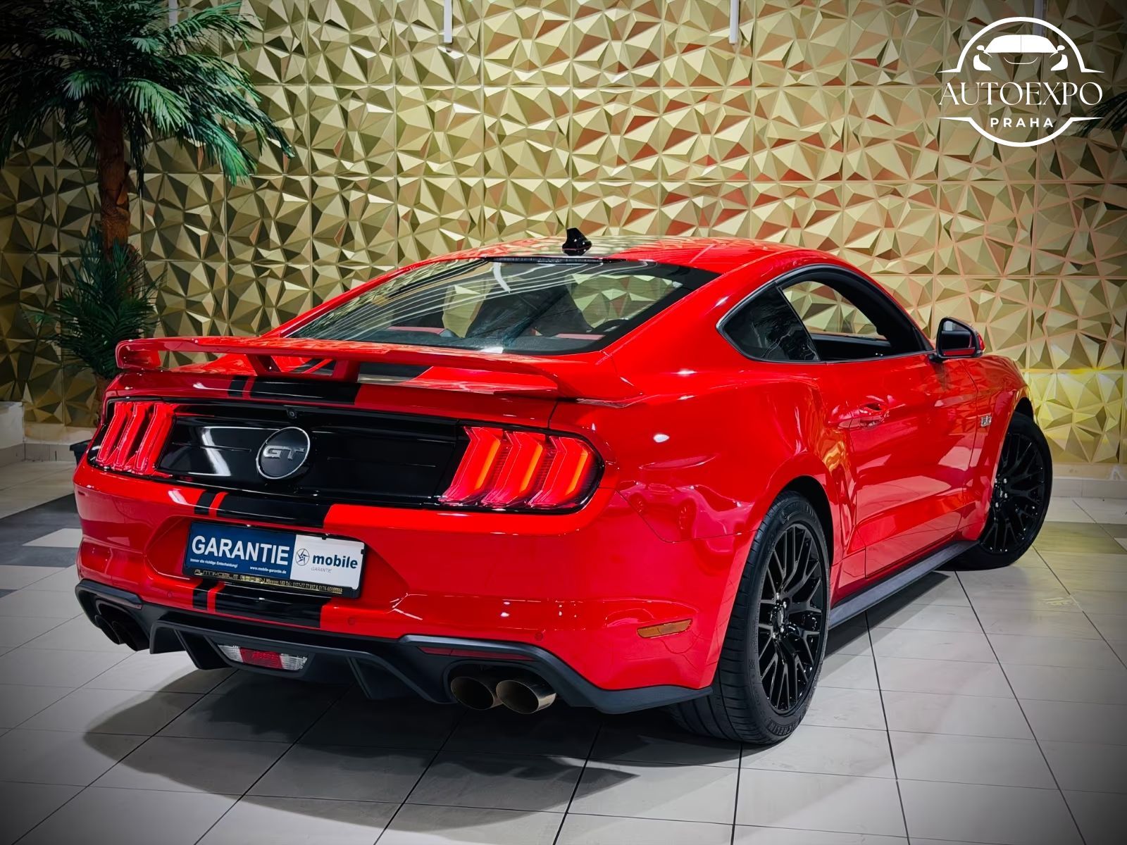 Ford Mustang, 5.0 GT V8 RECARO* - fotka 3