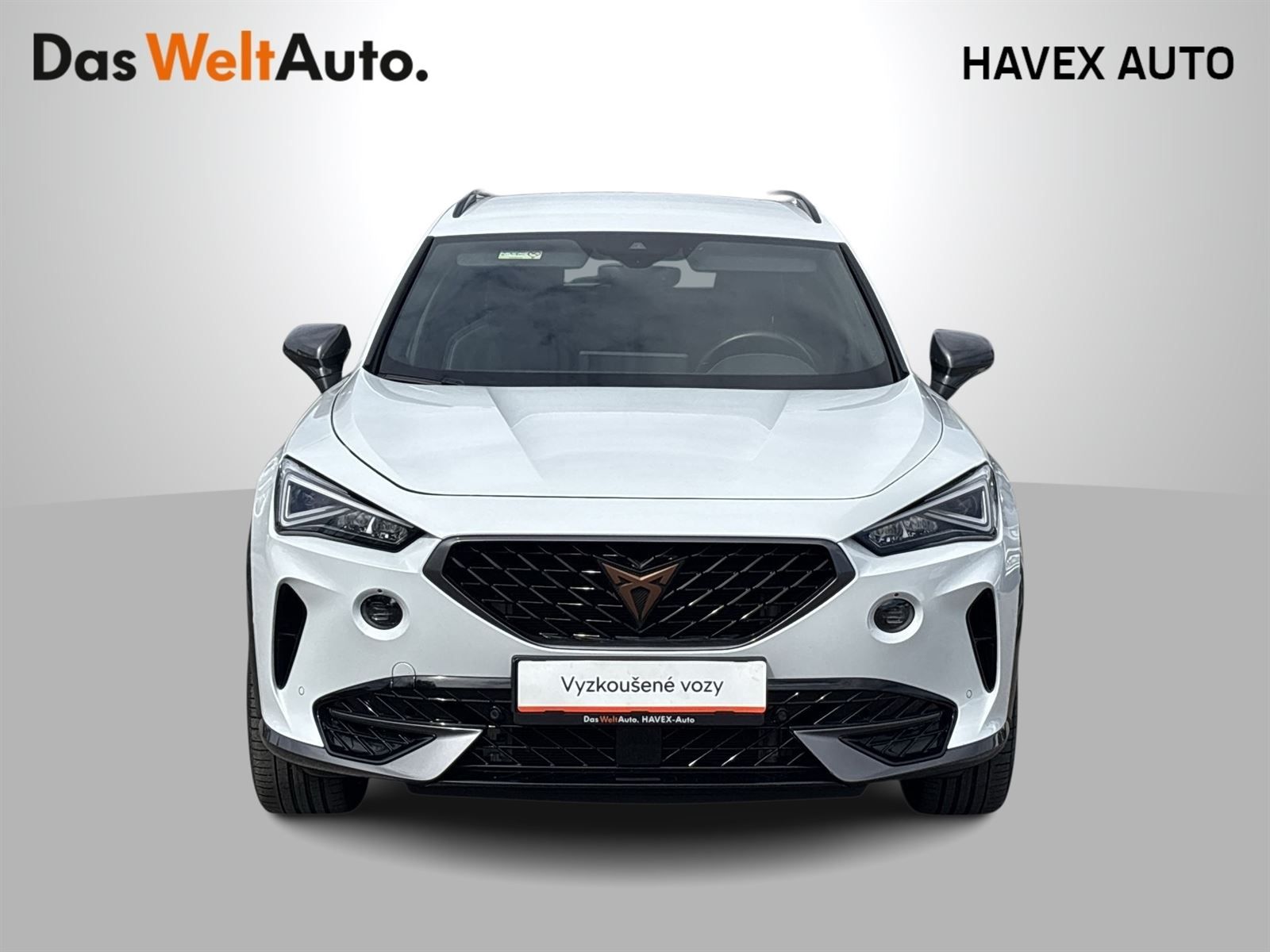 Cupra Formentor, 2.0 TSI 4Drive DSG - fotka 4