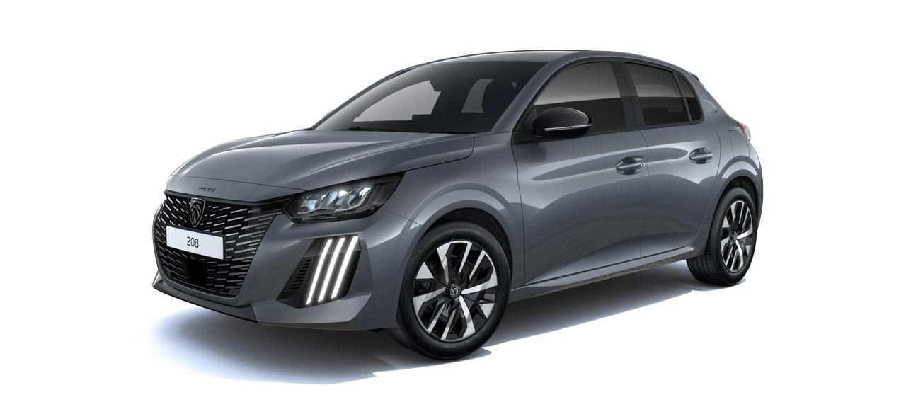 Peugeot 208, BUSINESS Turbo 100 MAN6