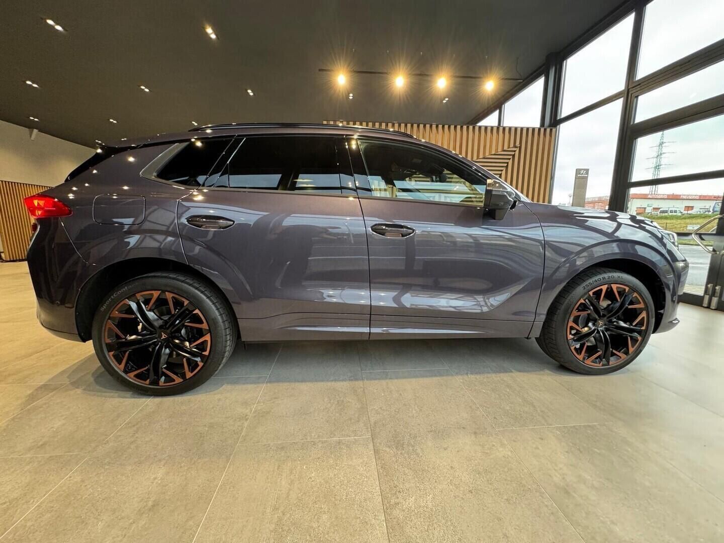 Cupra Terramar, VZ 2.0 TSI 4WD 195 kW - fotka 5