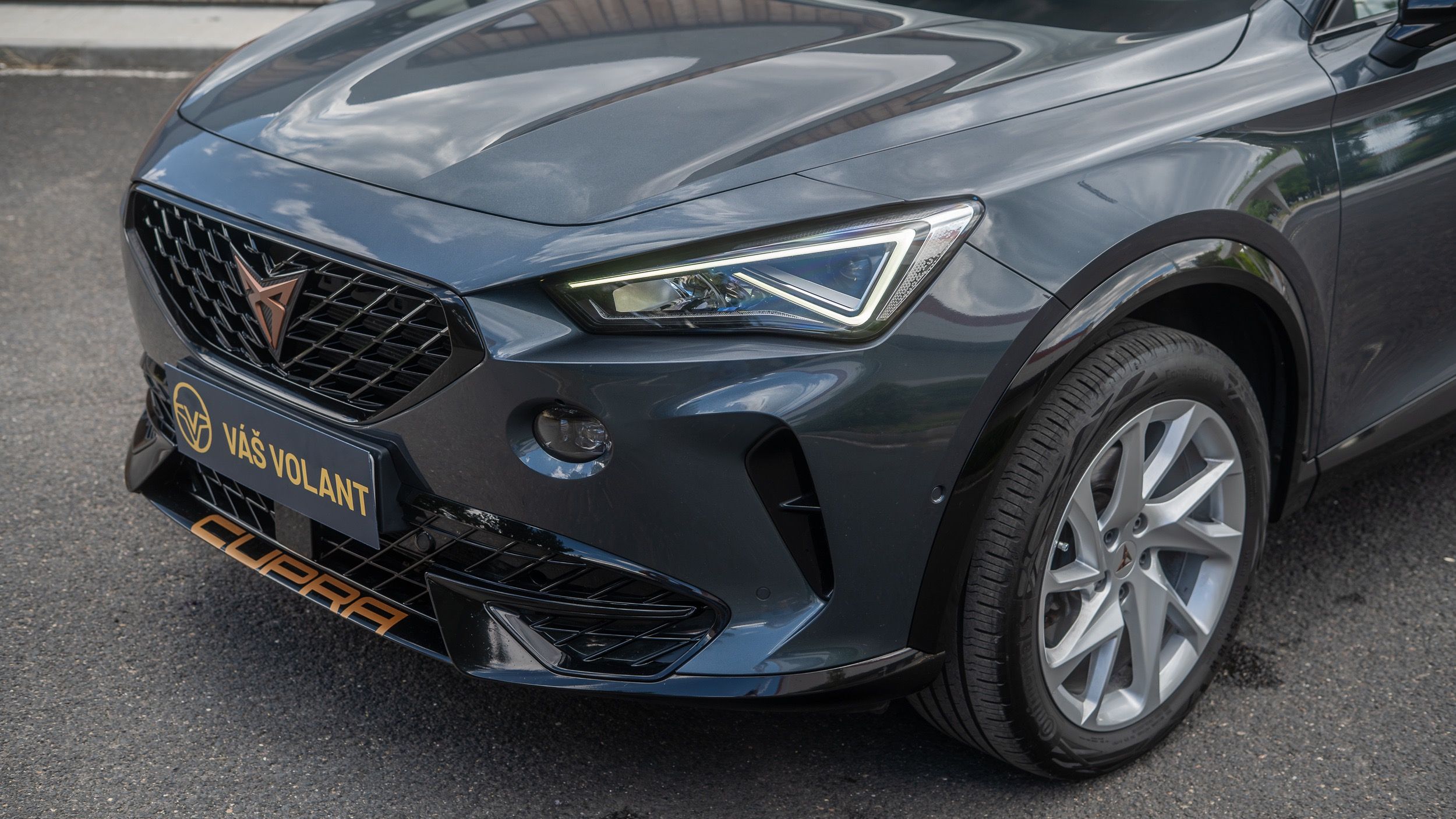Cupra Formentor, 2.0 TDI 110kw DSG 4x4 PPF - fotka 2