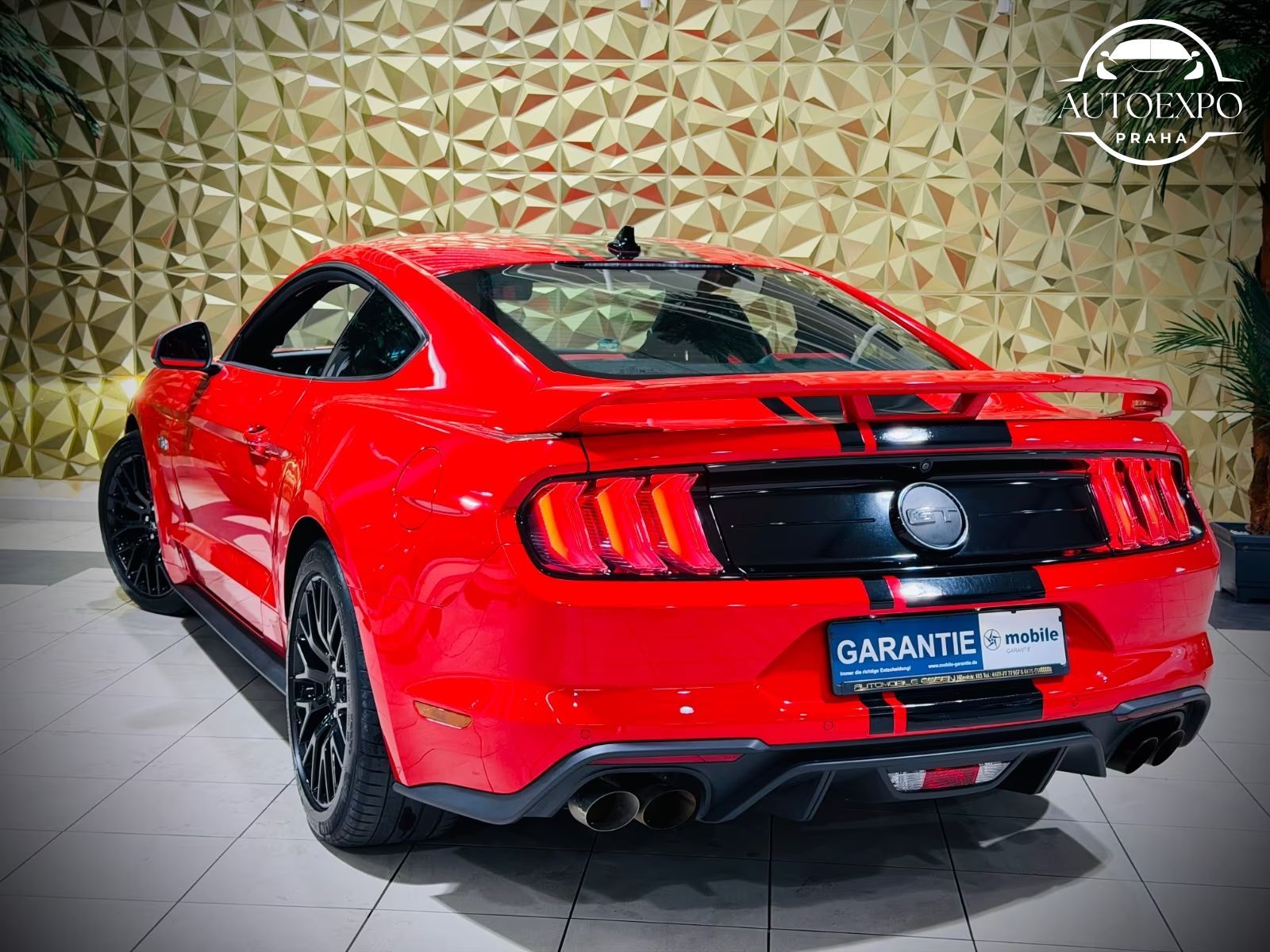 Ford Mustang, 5.0 GT V8 RECARO* - fotka 4