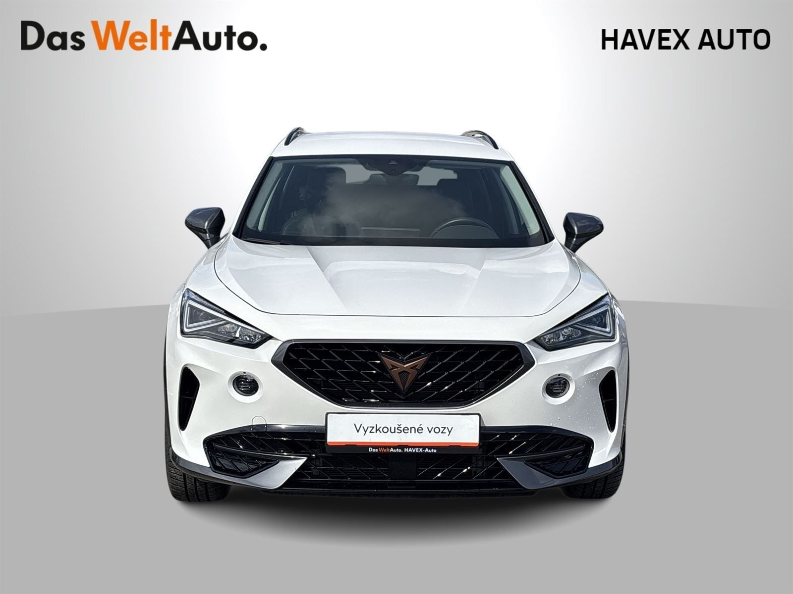 Cupra Formentor, 1.5 TSI DSG - fotka 4