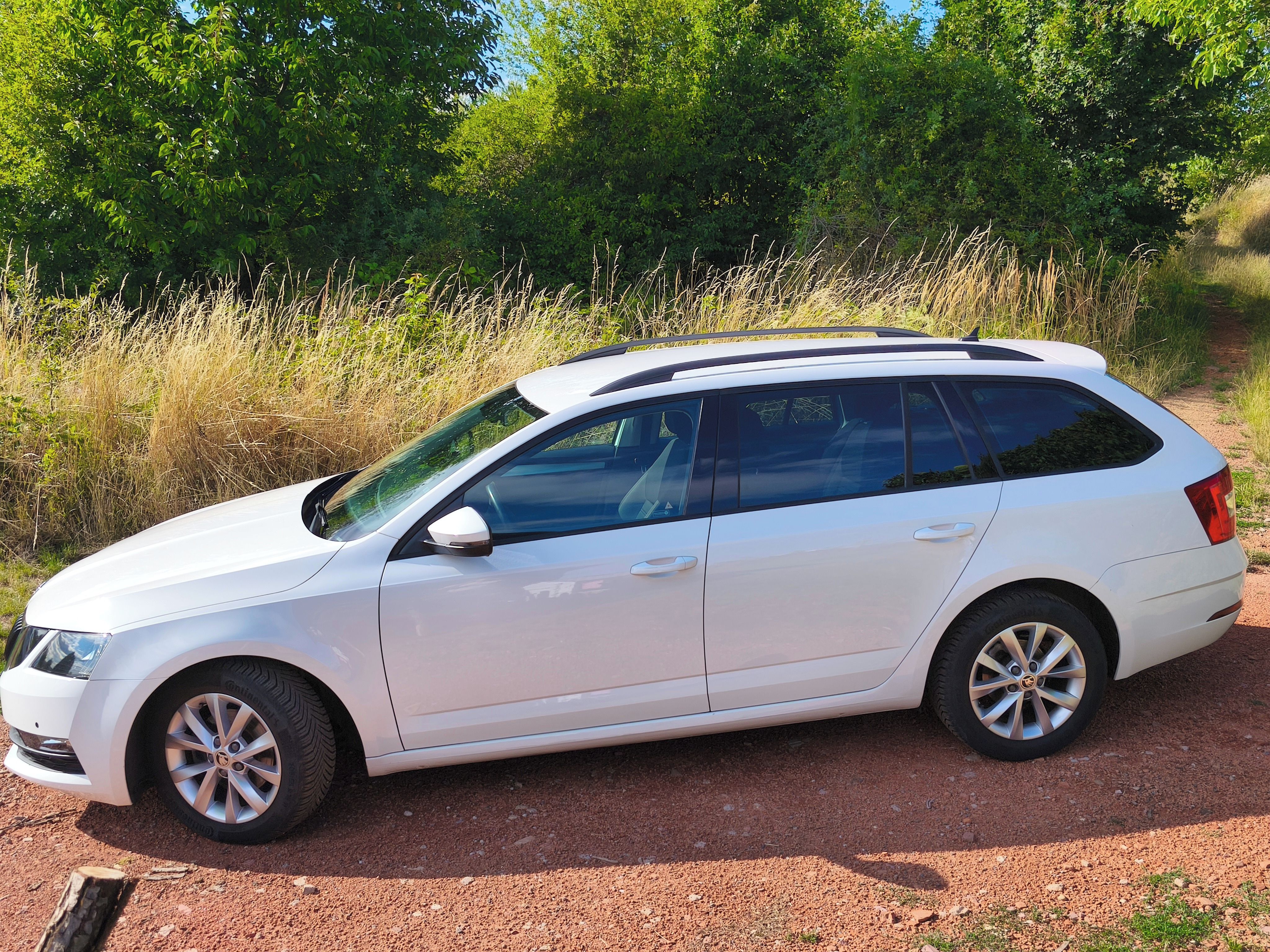 Škoda Octavia, 1.0 TSI Navi, Servis, DPH - fotka 3
