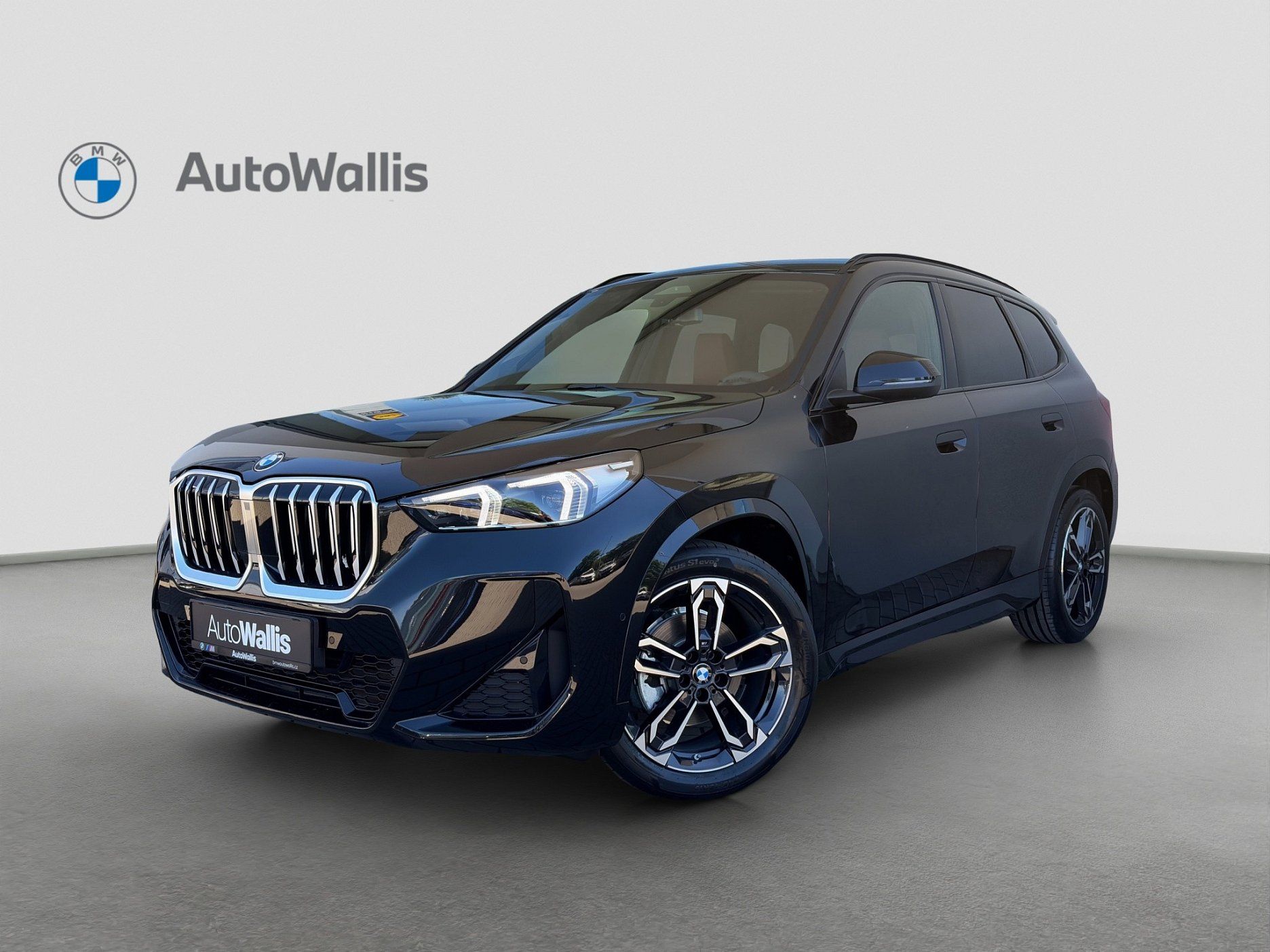 BMW X1, xDrive20d, SAV/SUV