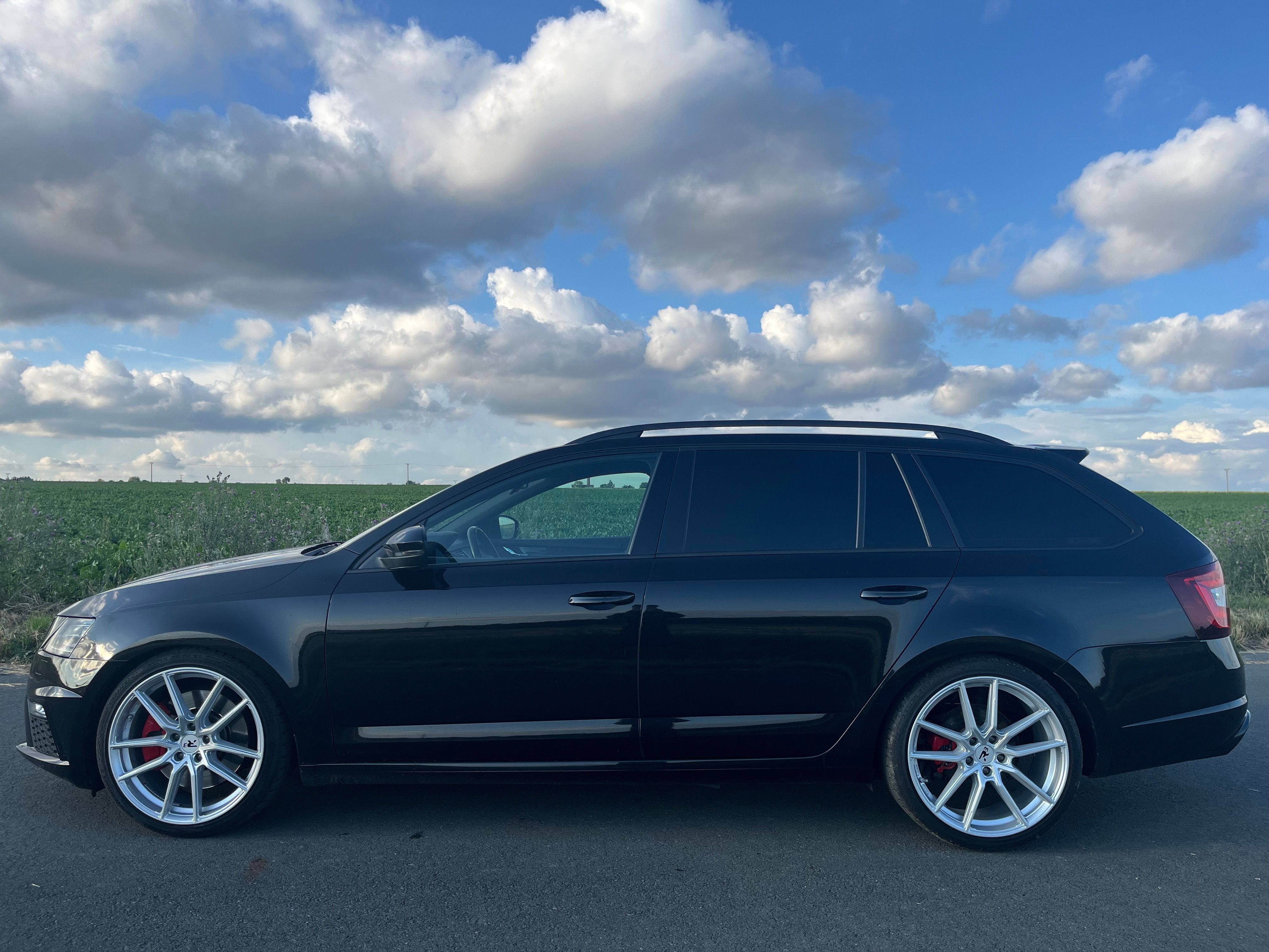 Škoda Octavia, III Rs, 2.0 TSI, Tažné - fotka 4