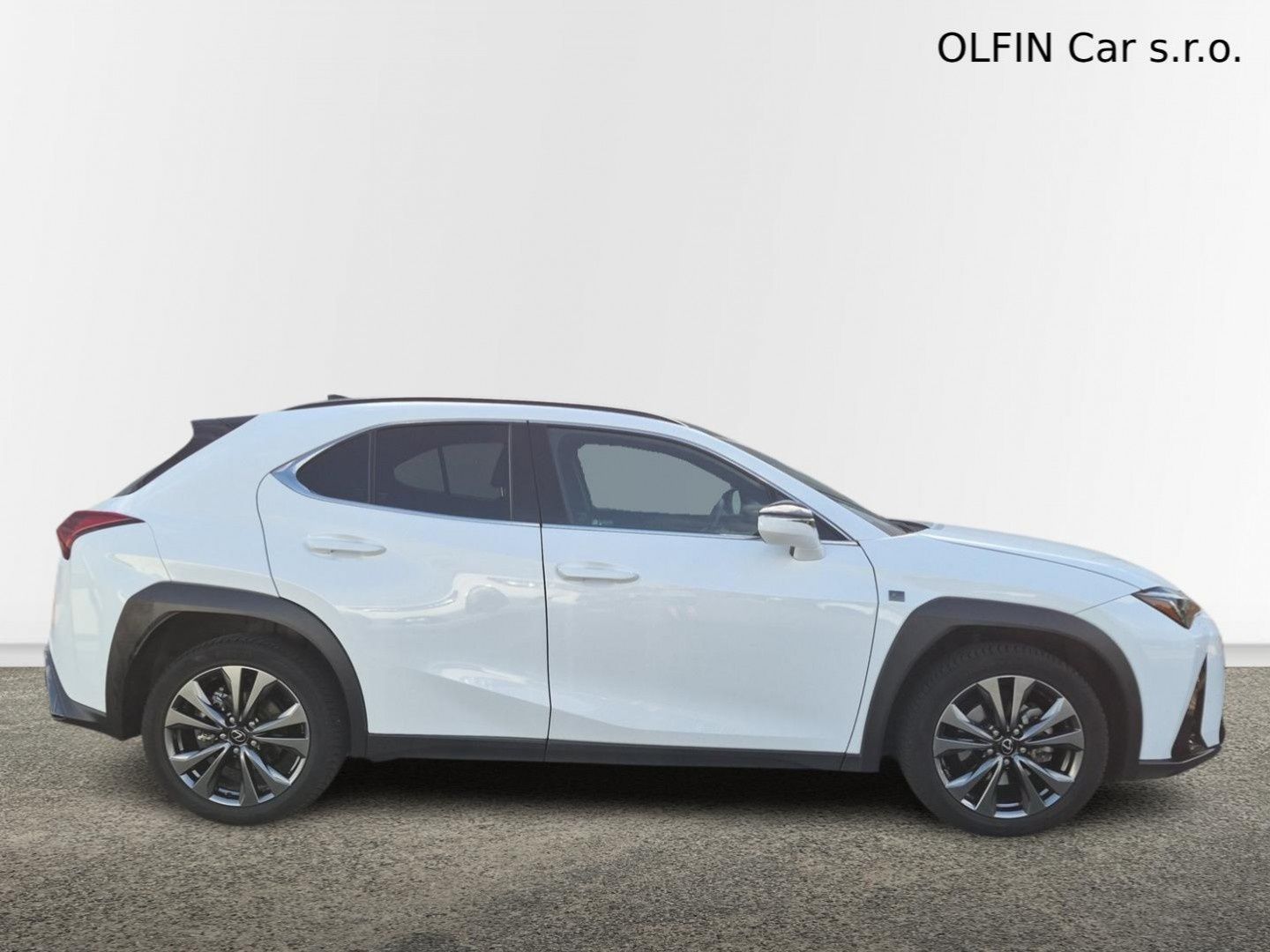 Lexus, h F SPORT Design Bi-Tone - fotka 6