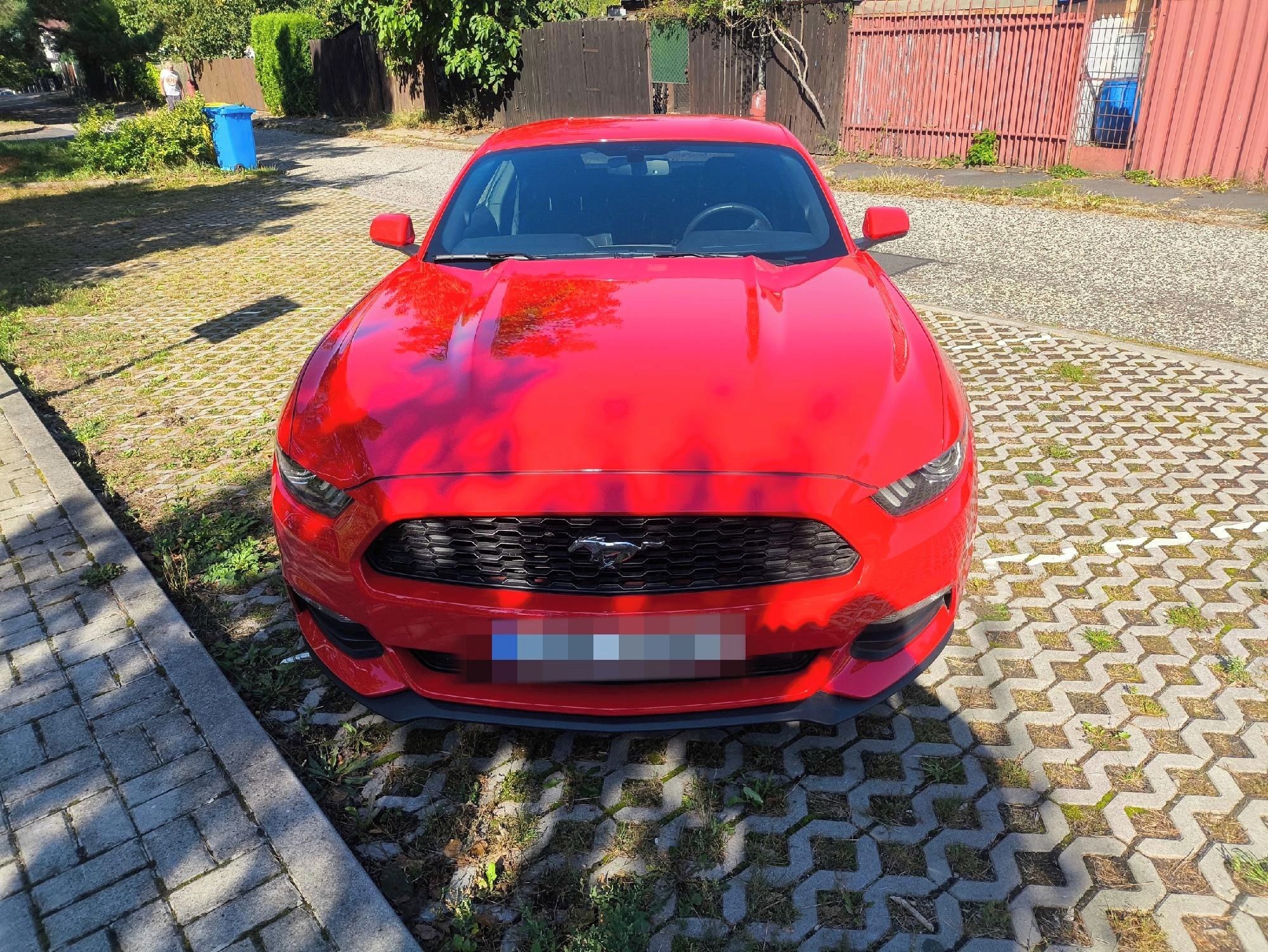 Ford Mustang, Ford Mustang V6 3,7 - fotka 6