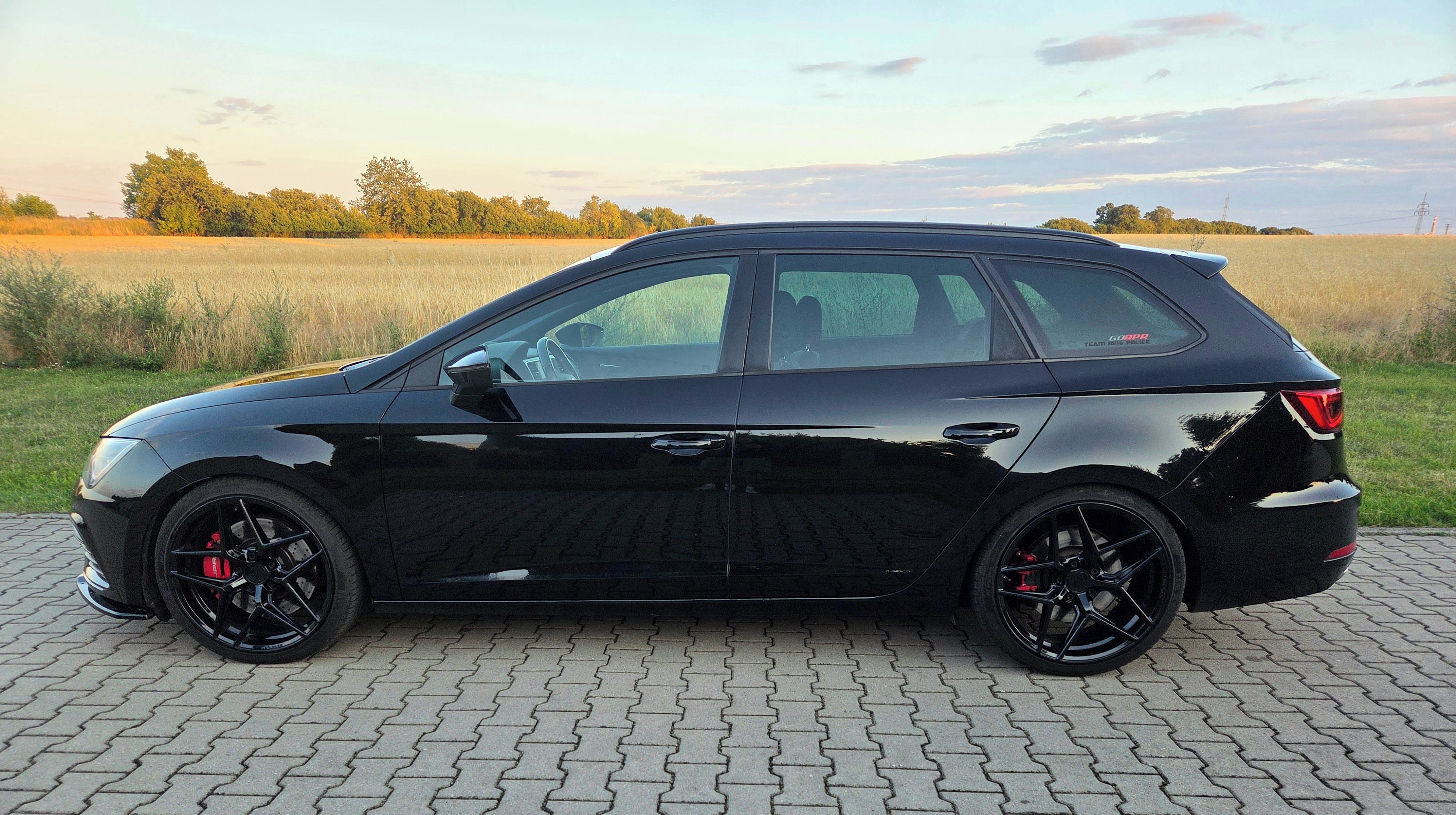 Seat Leon, Cupra 300 APR - fotka 5
