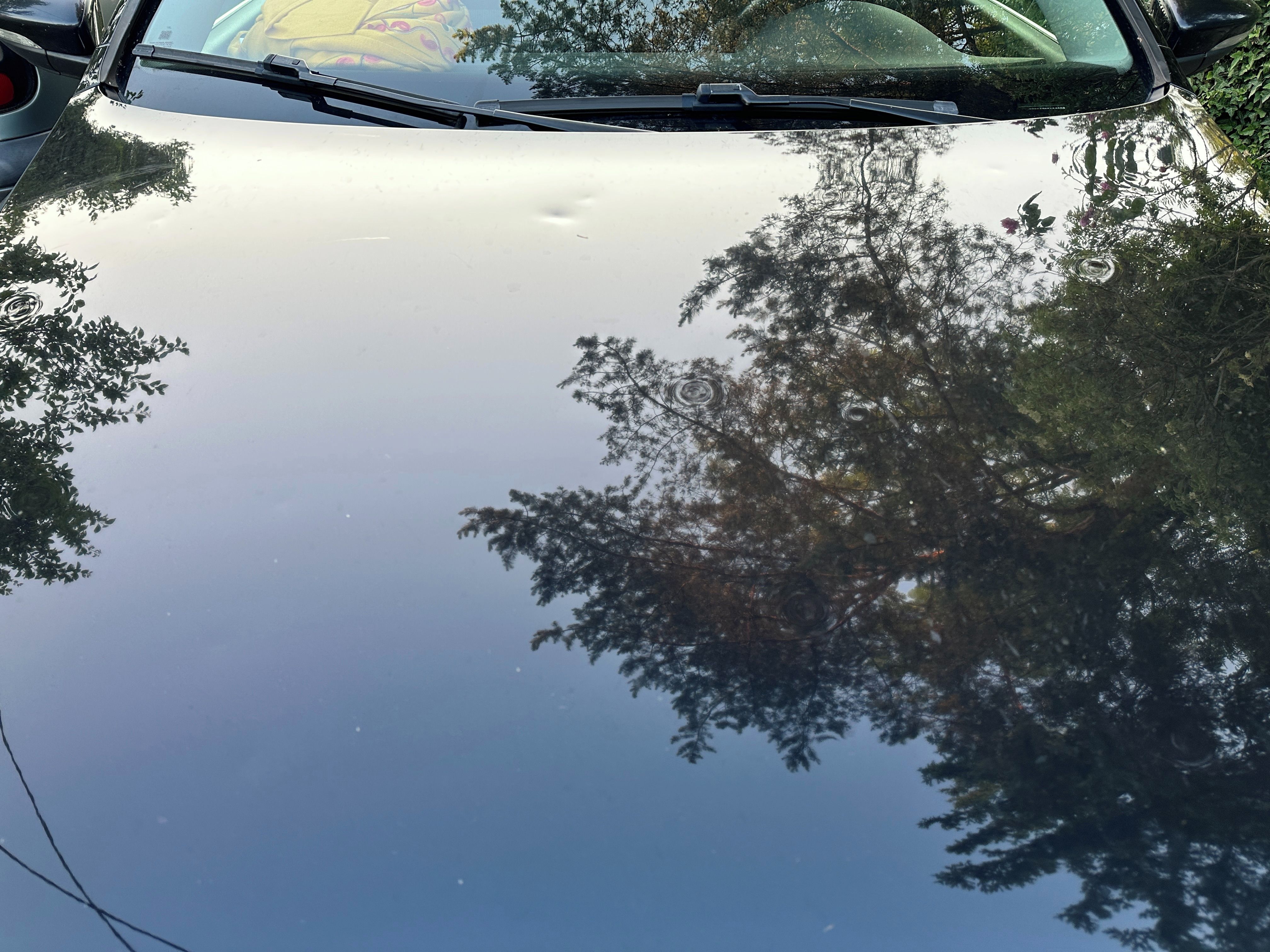 Volkswagen Passat Variant, Volkswagen Passat 130kW, DSG - fotka 3