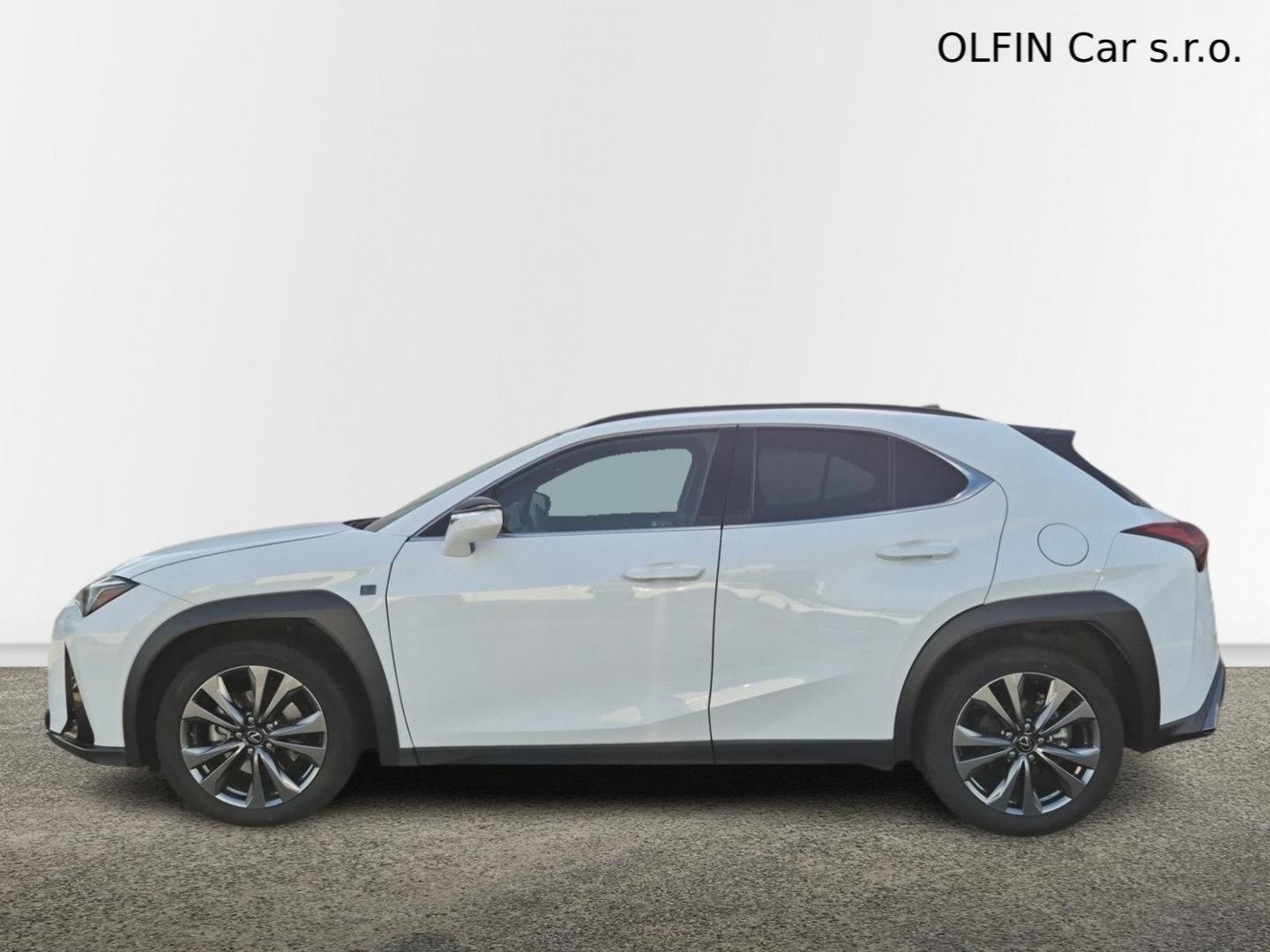 Lexus, h F SPORT Design Bi-Tone - fotka 3