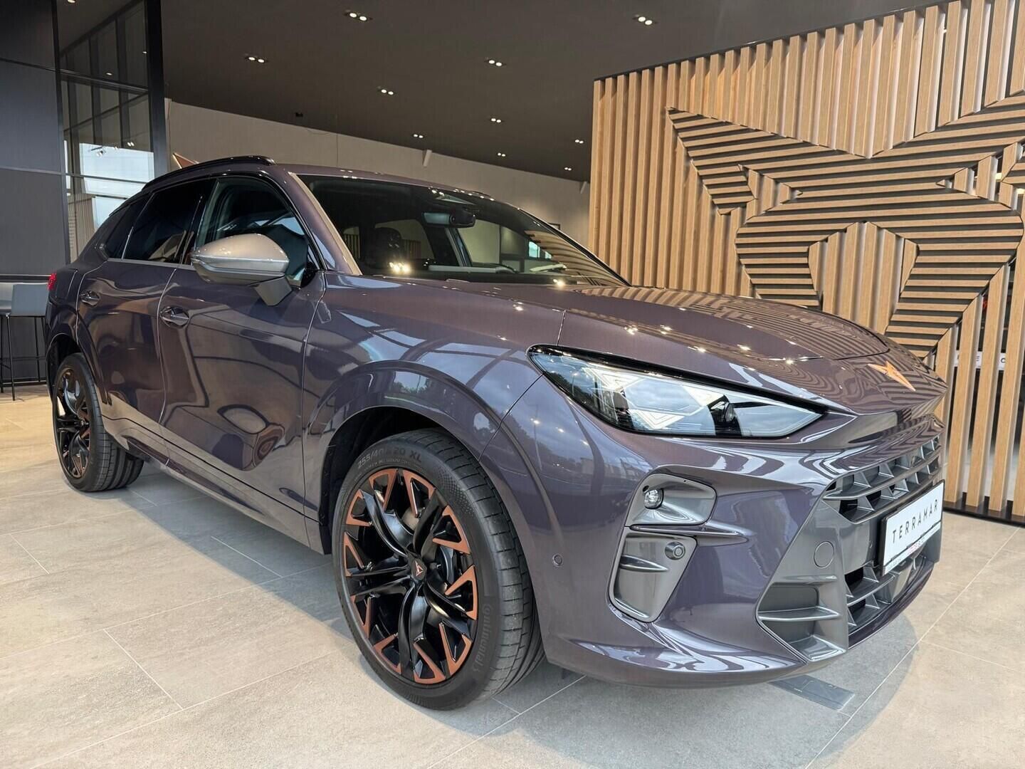 Cupra Terramar, VZ 2.0 TSI 4WD 195 kW - fotka 3