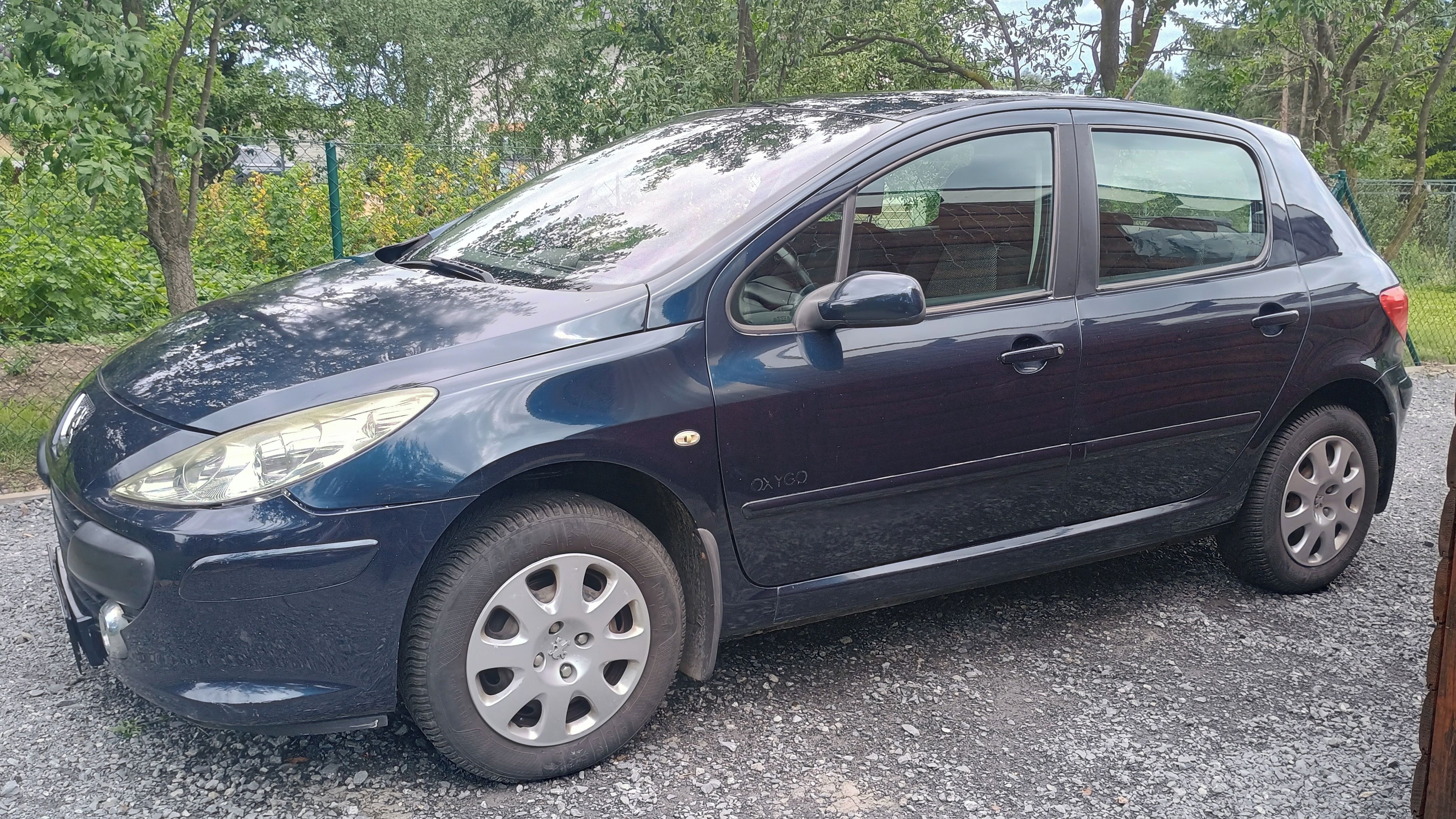 Peugeot 307, 1,6 benzín - fotka 2