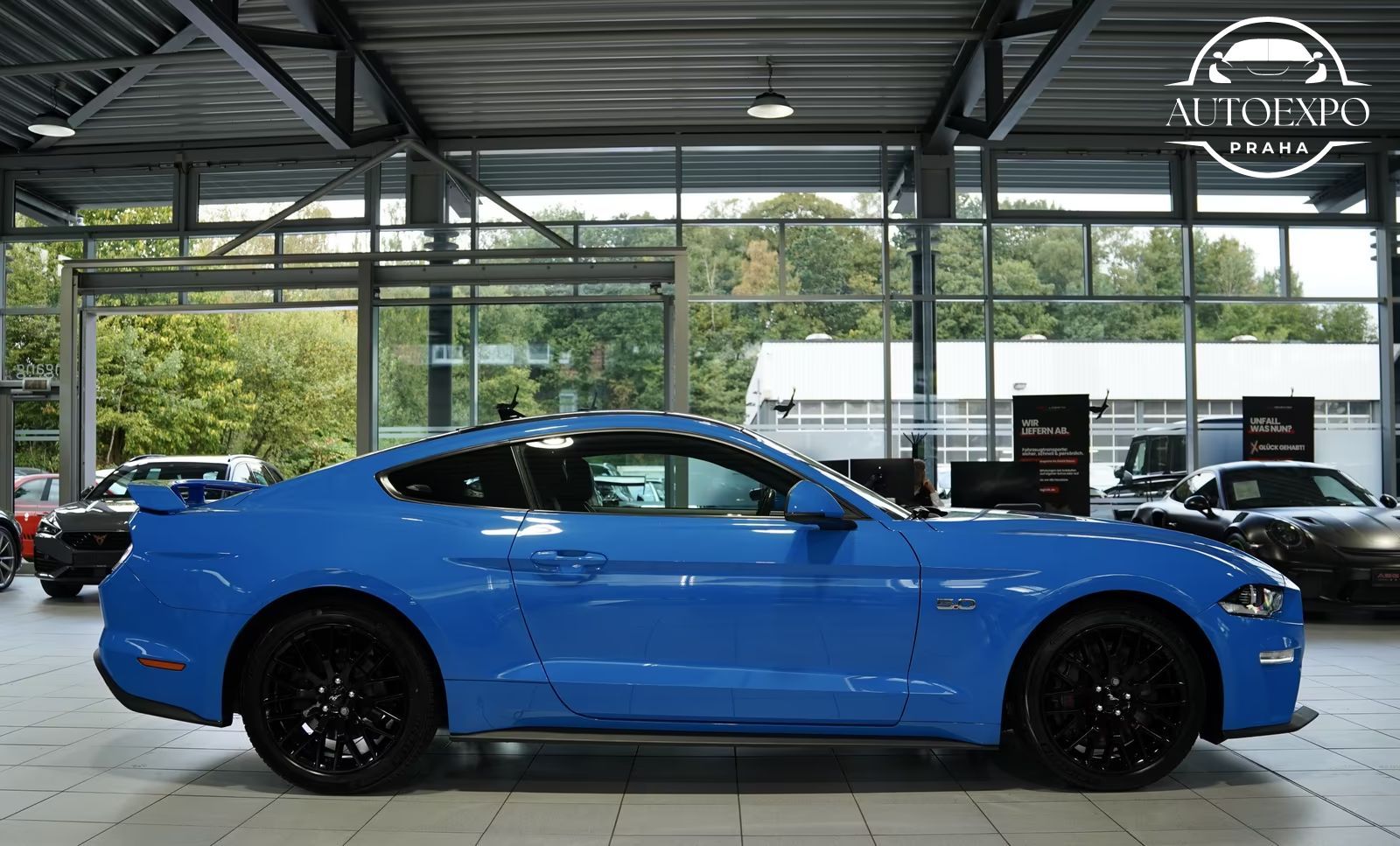 Ford Mustang, 5.0 GT Fastback - fotka 5