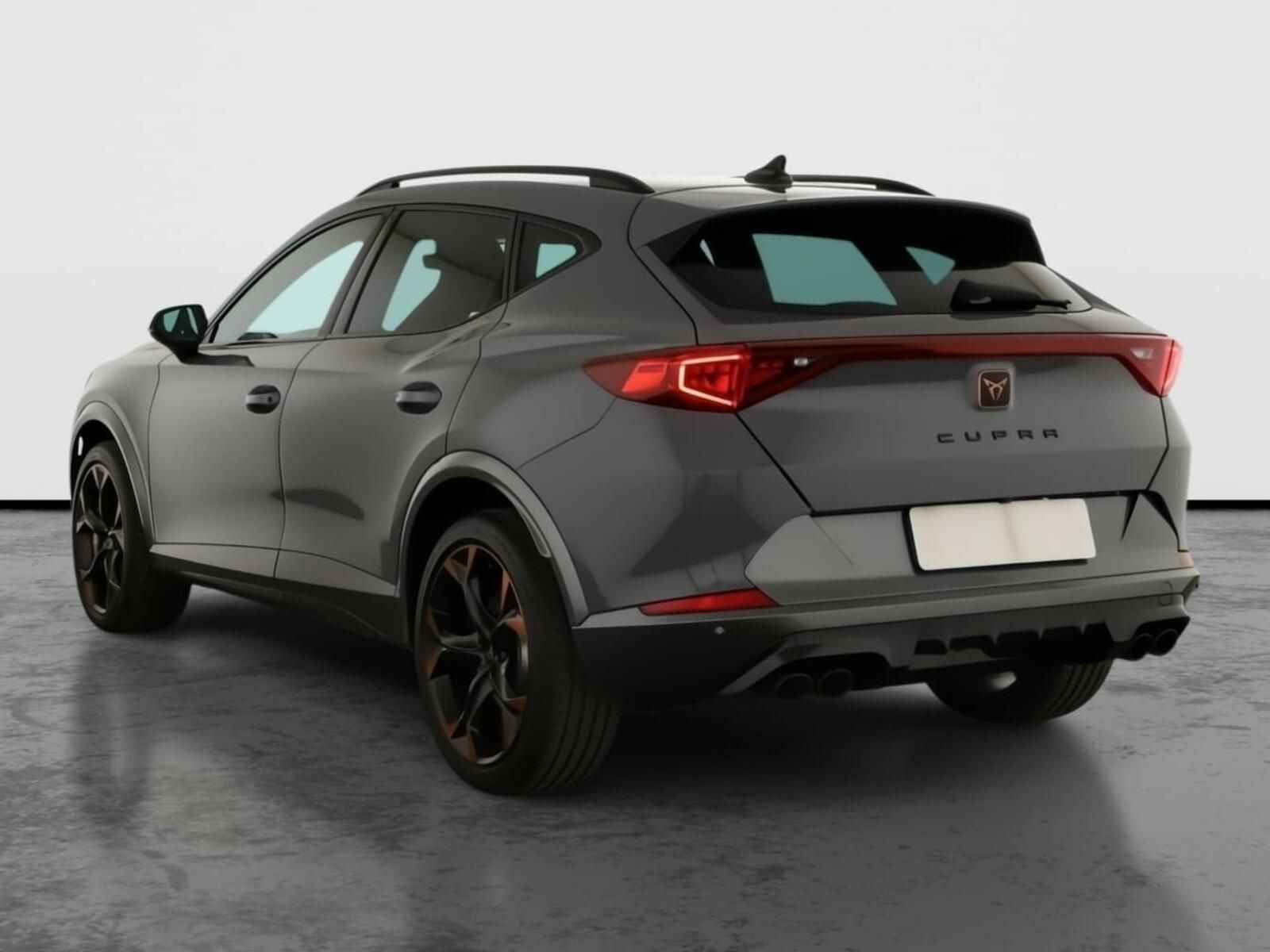 Cupra Formentor, 2.0 TSI VZ 4Drive, 4X4 - fotka 4