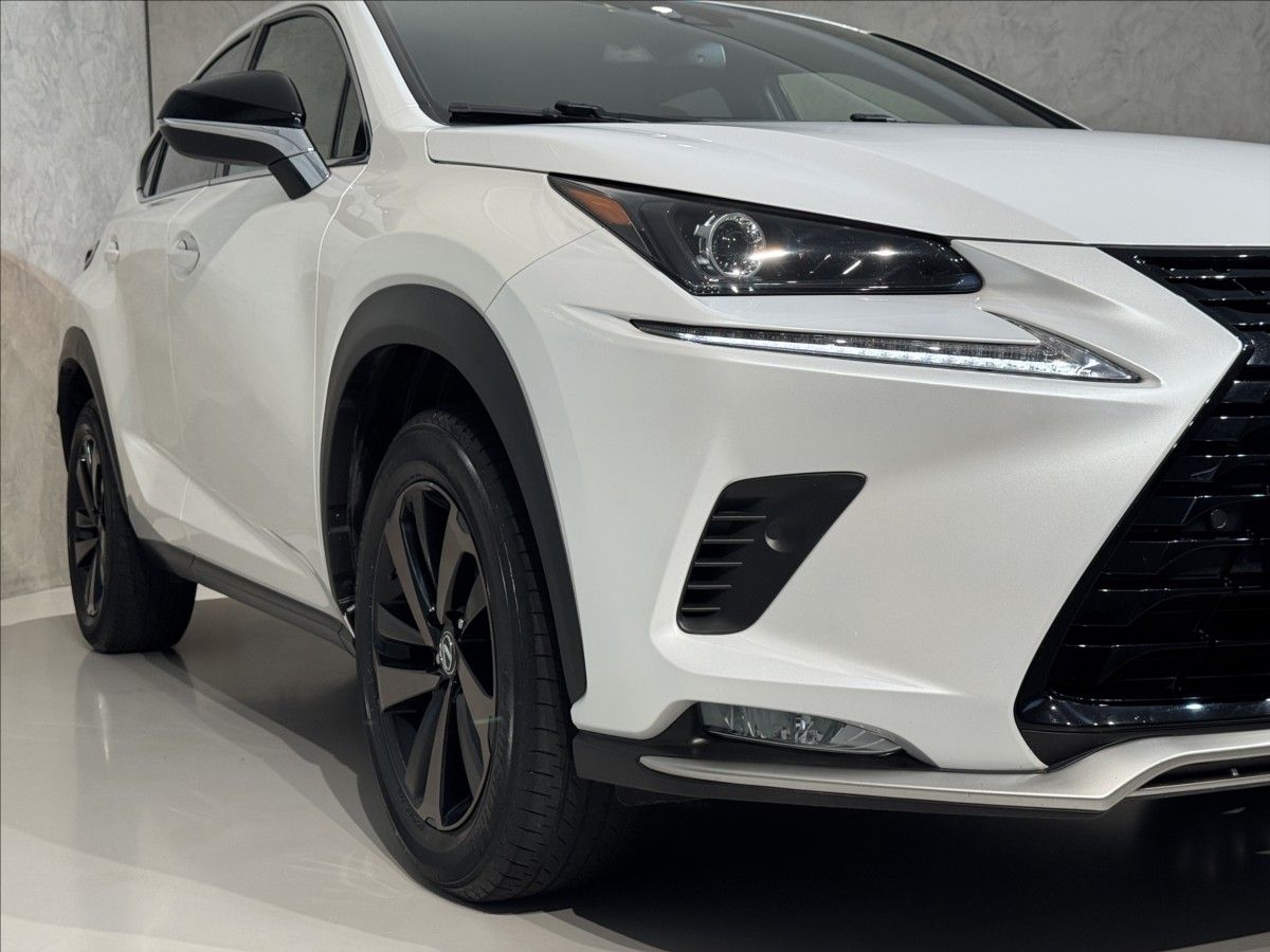 Lexus NX 300h, 2,5   Hybrid Luxury LED Assist - fotka 5