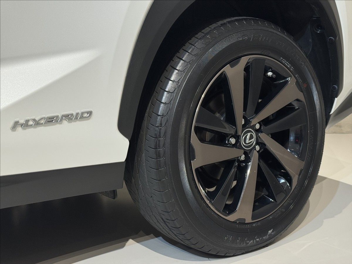 Lexus NX 300h, 2,5   Hybrid Luxury LED Assist - fotka 6