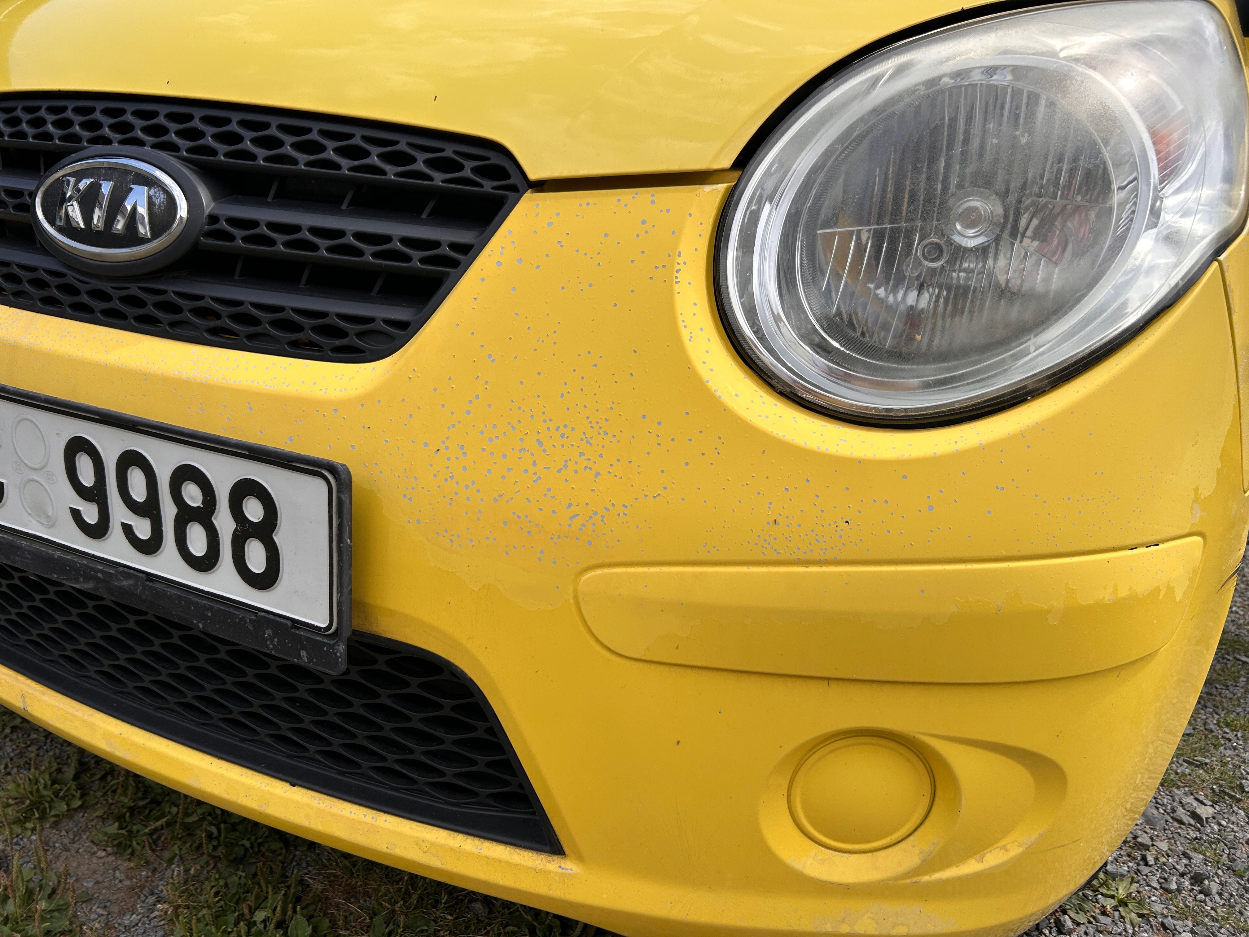 Kia Picanto, 2009,1.0i - 46kw, 70 049km - fotka 2