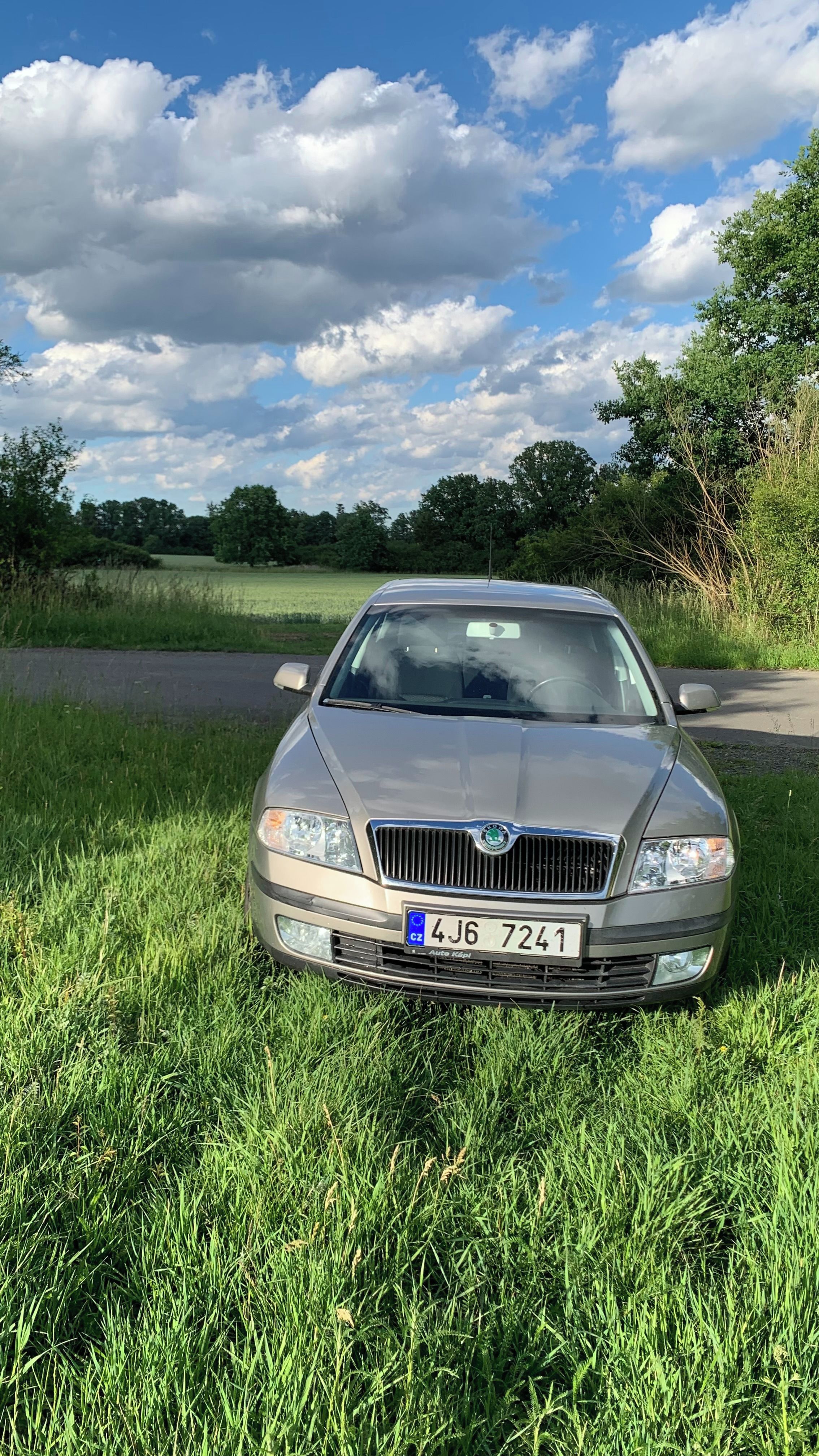 Škoda Octavia, ŠKODA OCTAVIA 2.0 TDI Elegance - fotka 5
