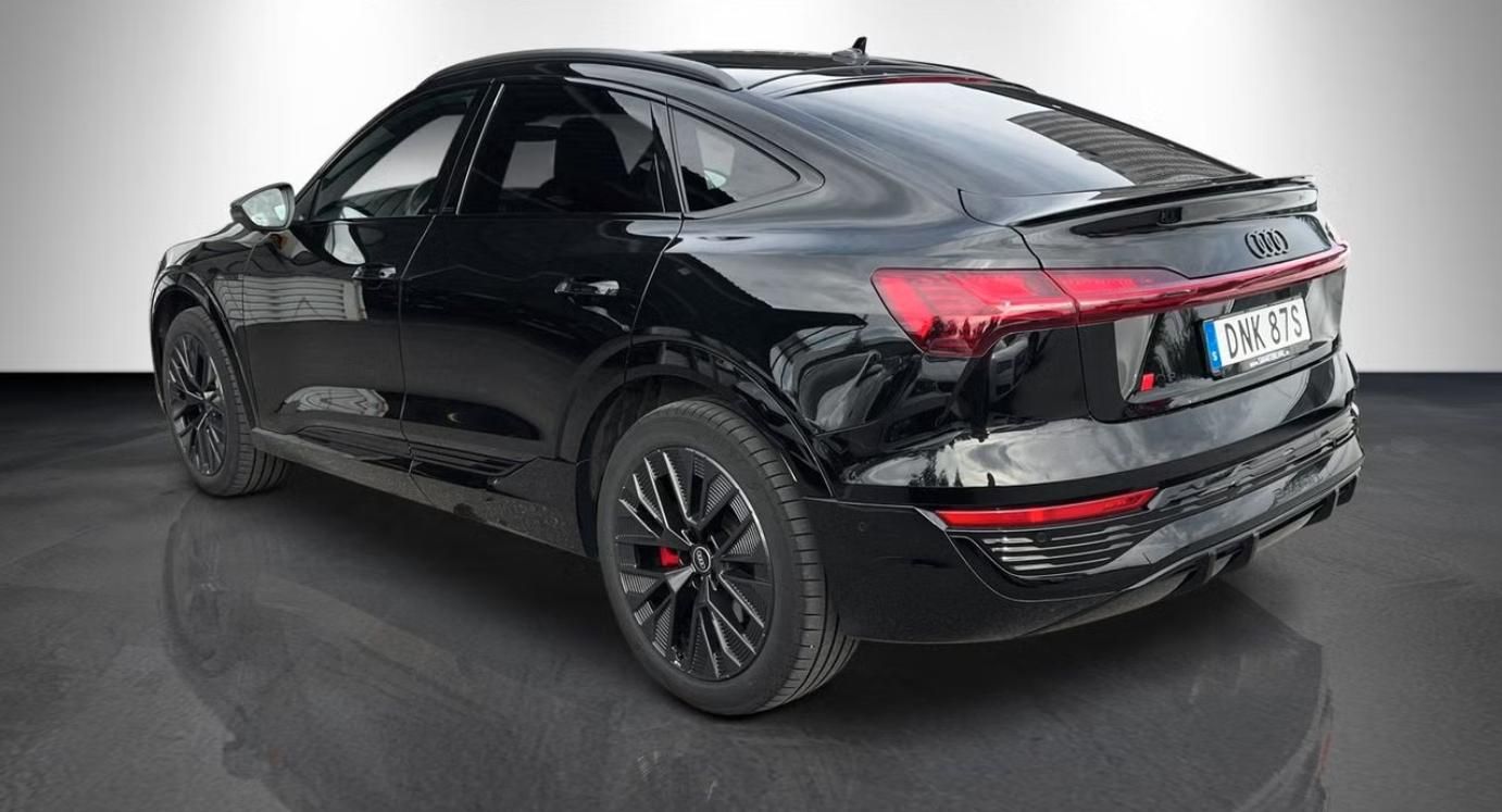 Audi Q8 e-tron, 55 Sportback Q 360 Matrix Pano - fotka 4