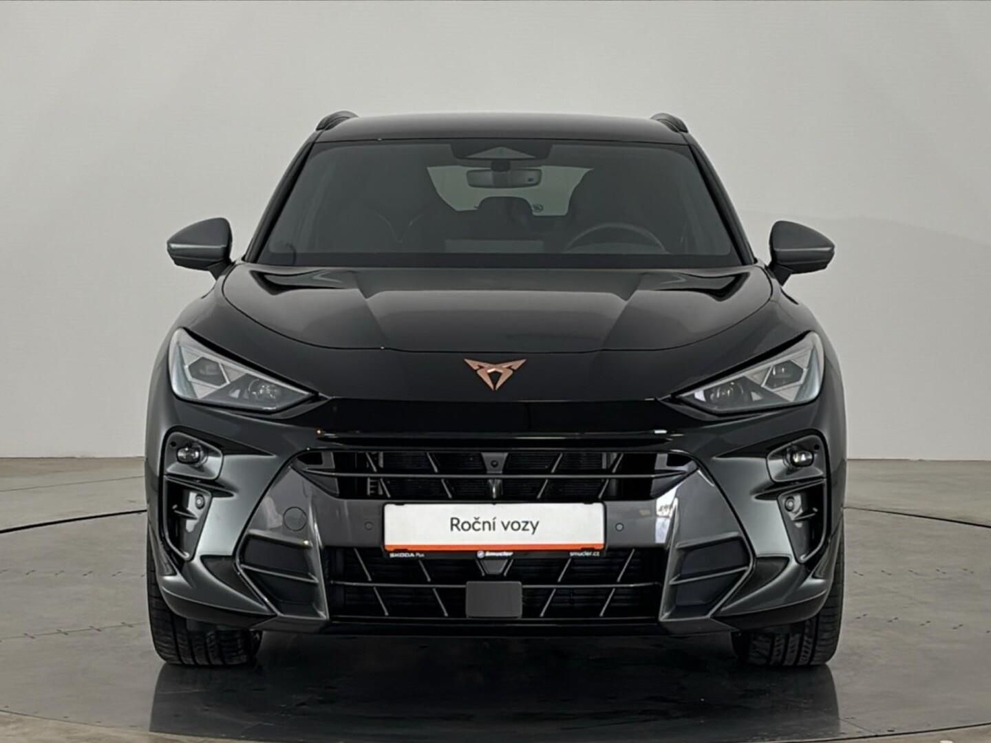 Cupra Terramar, 2.0 TSI / 150 kW 4WD DSG - fotka 4