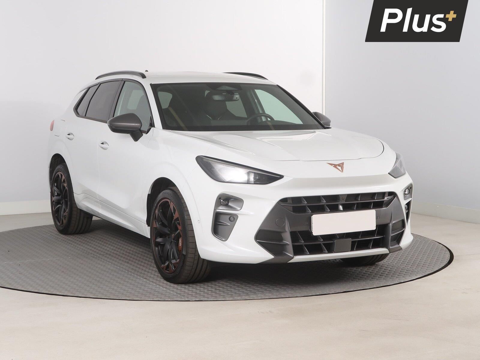 Cupra Terramar, 2.0 TSI 4Drive