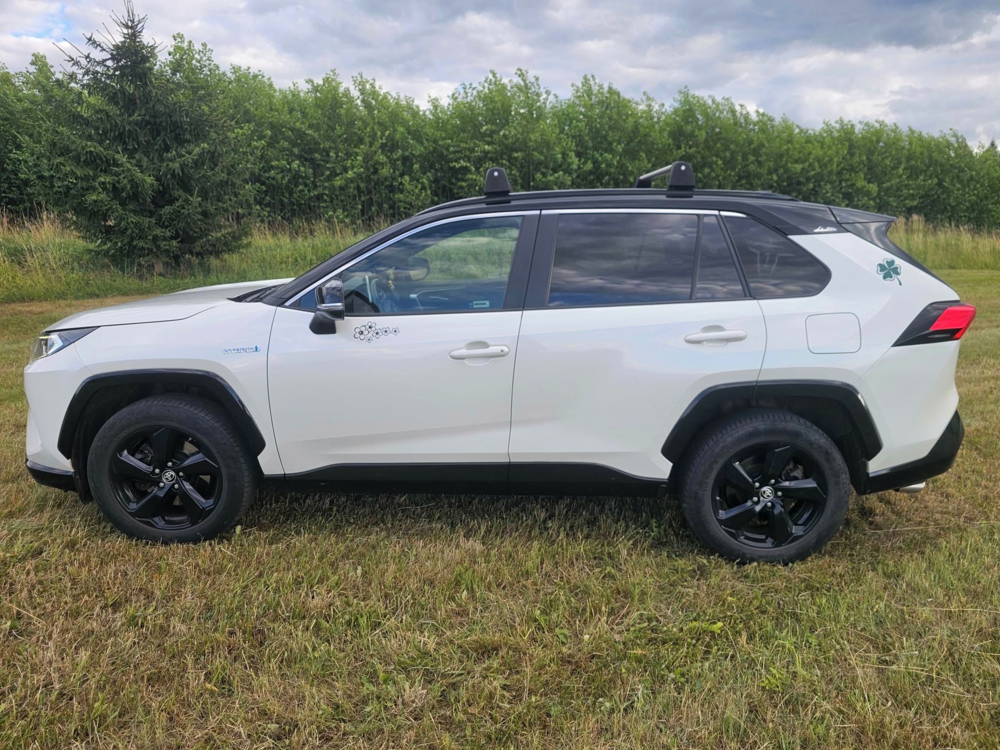 Toyota Rav4, 2,5 Hybrid, 4x4, TZ, zimní p.