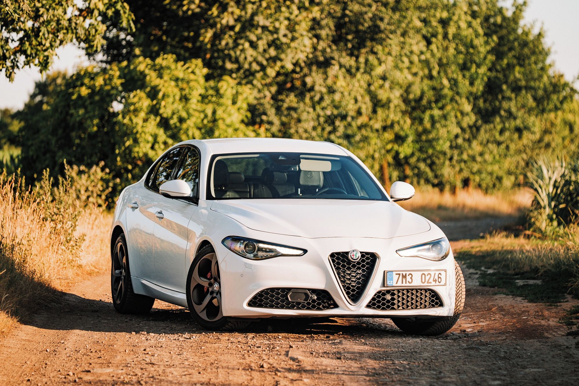 Alfa Romeo Giulia, Alfa Romeo Giulia Q2, 1. maj. - fotka 4
