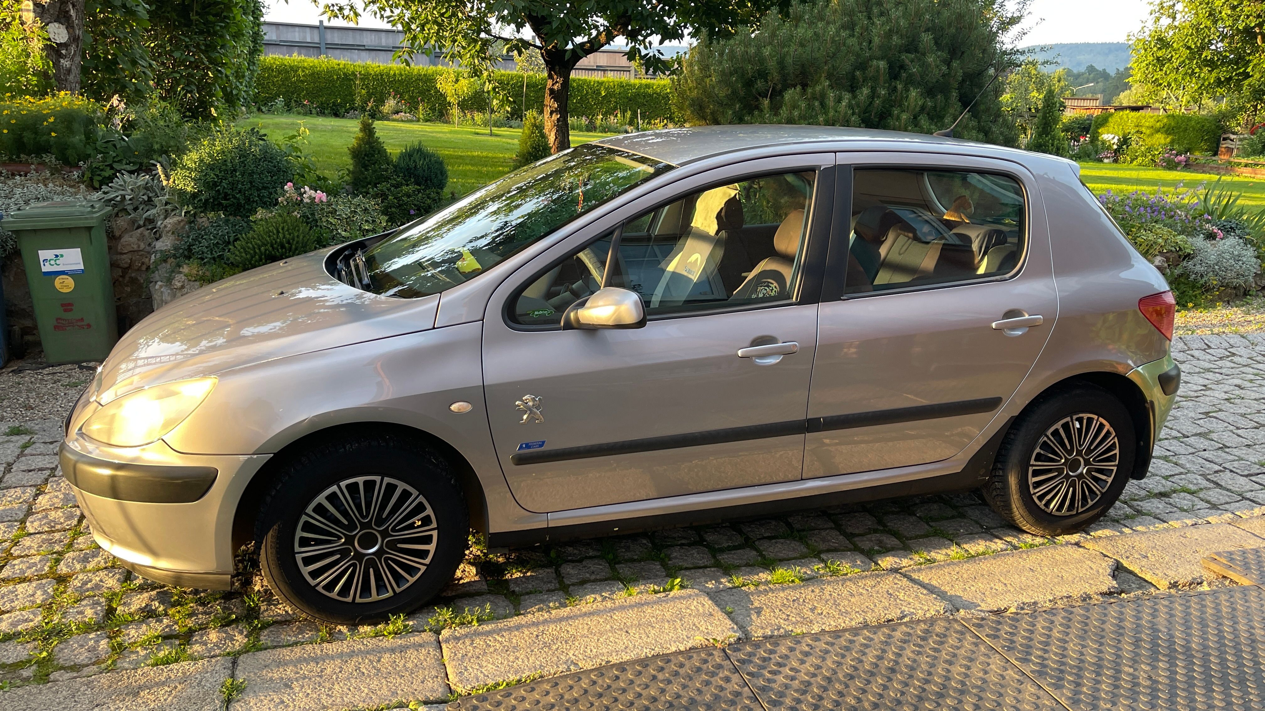 Peugeot 307, 1.4i benzín, KFU, 65kW, Euro 3 - fotka 2