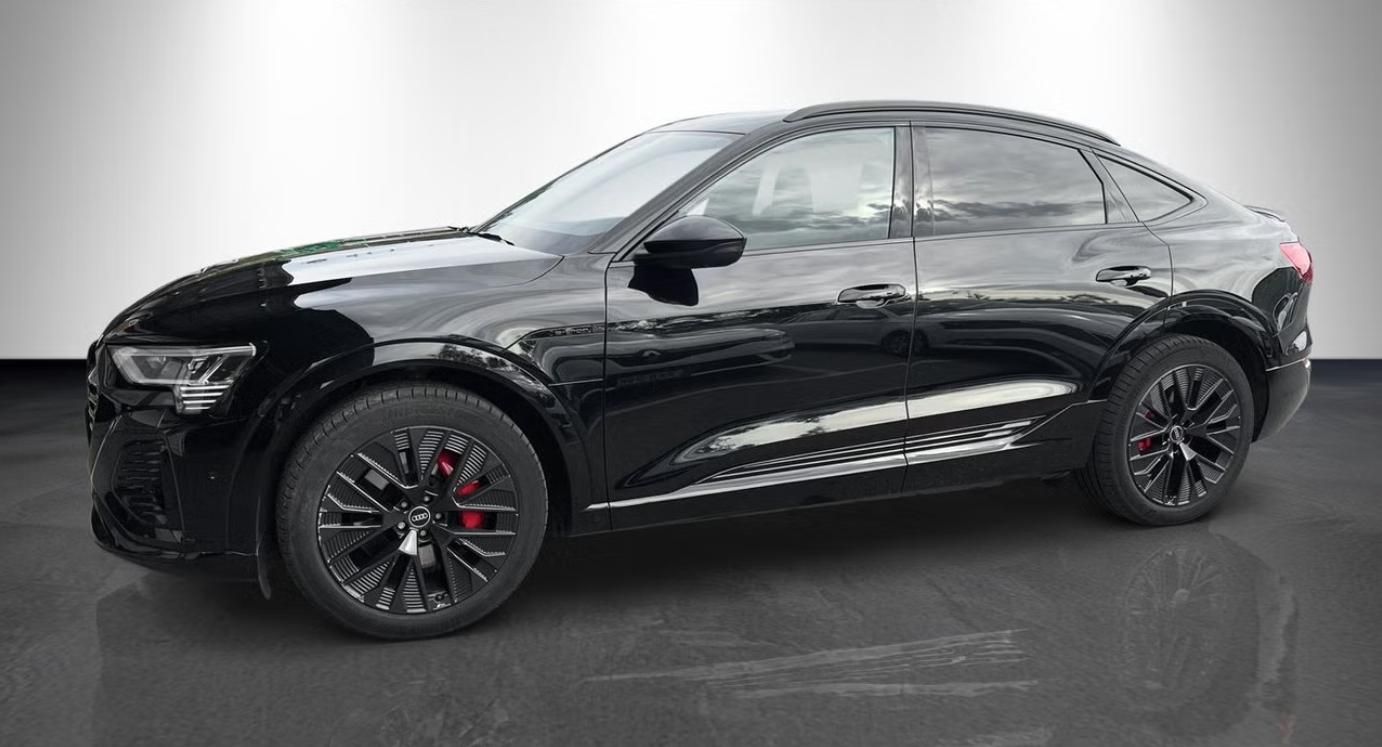 Audi Q8 e-tron, 55 Sportback Q 360 Matrix Pano - fotka 2
