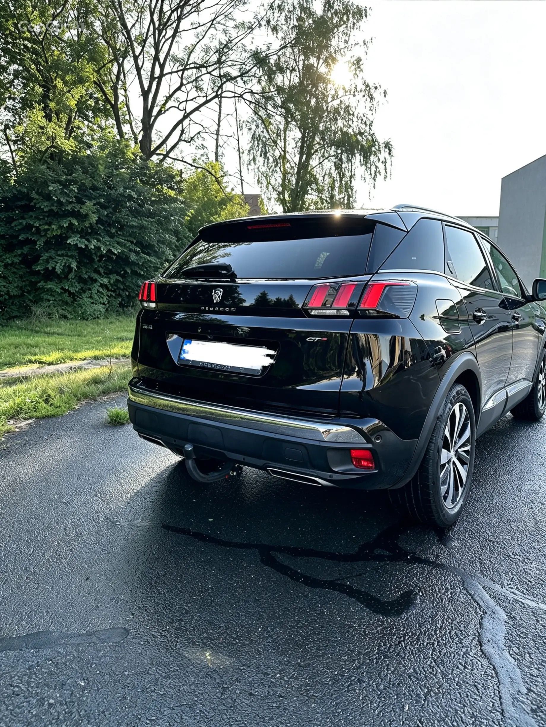 Peugeot 3008, Peugeot 3008, 2.0 Blue-HDi - fotka 5
