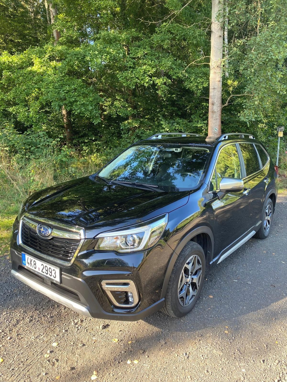 Subaru Forester, Subaru Forester e - BOXER - fotka 2