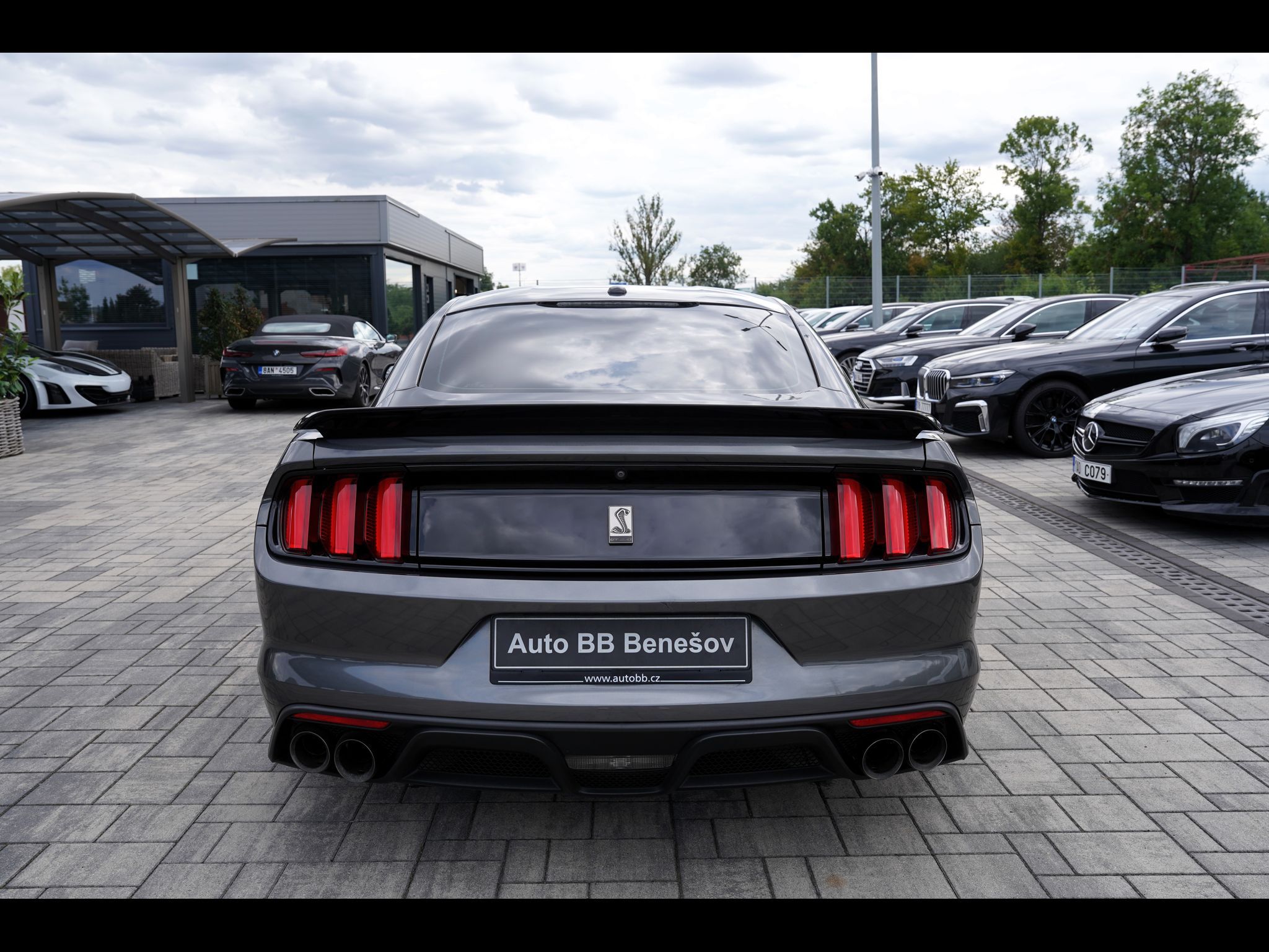 Ford Mustang, Shelby GT350 5.2 Recaro,533 PS - fotka 5