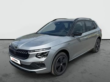 Monte Carlo DSG Pan Kam DPH ČR