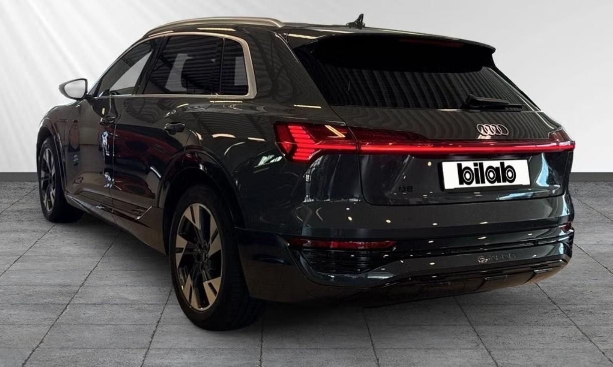 Audi Q8 e-tron, 55 Q Kamera Vzduch Kůže BLIS - fotka 3