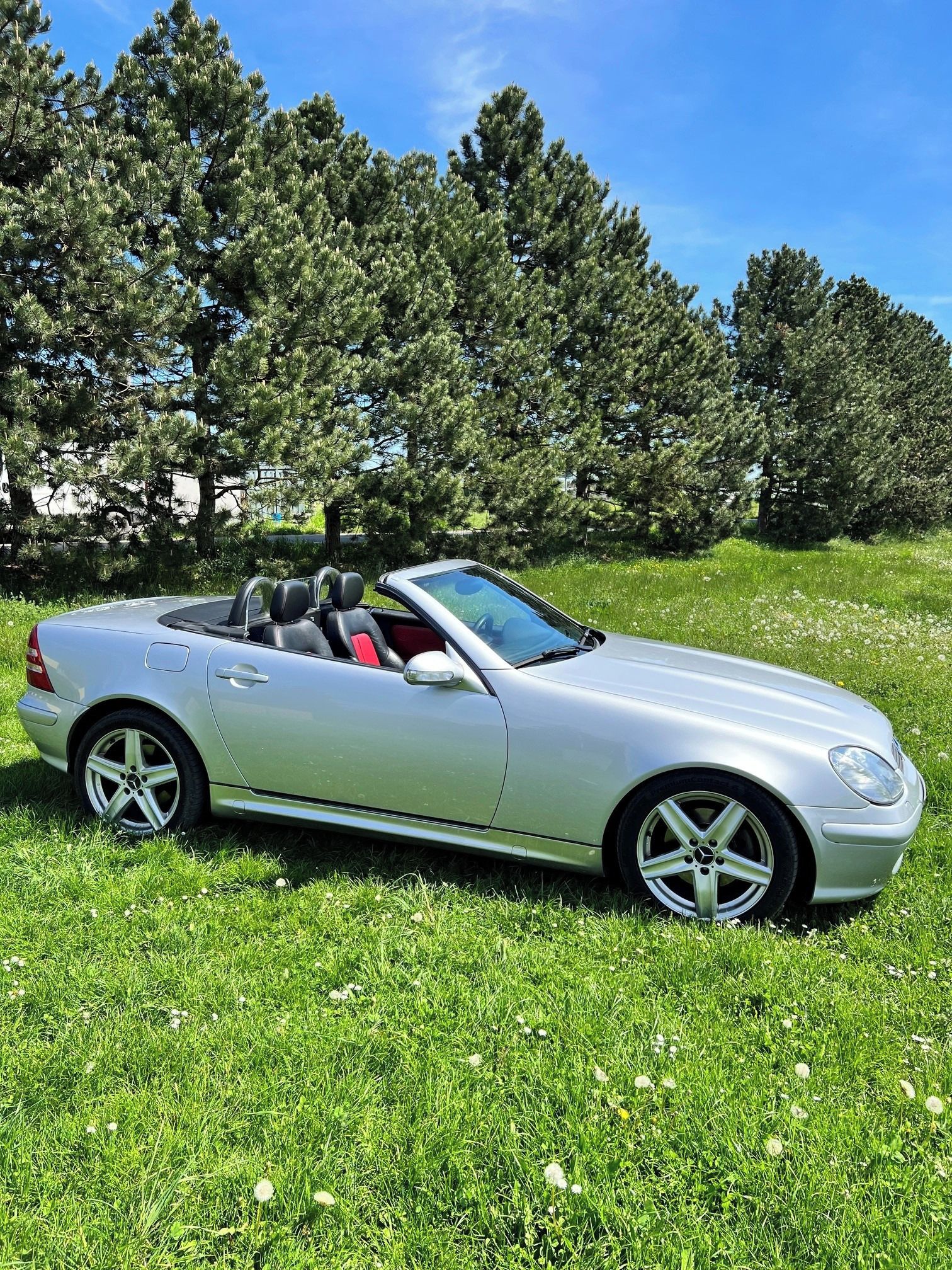 Mercedes-Benz SLK, MB SLK 320 (R170) excl. - fotka 2